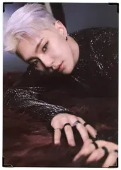 2026年最新】seventeen ホシ スパイダーの人気アイテム - メルカリ