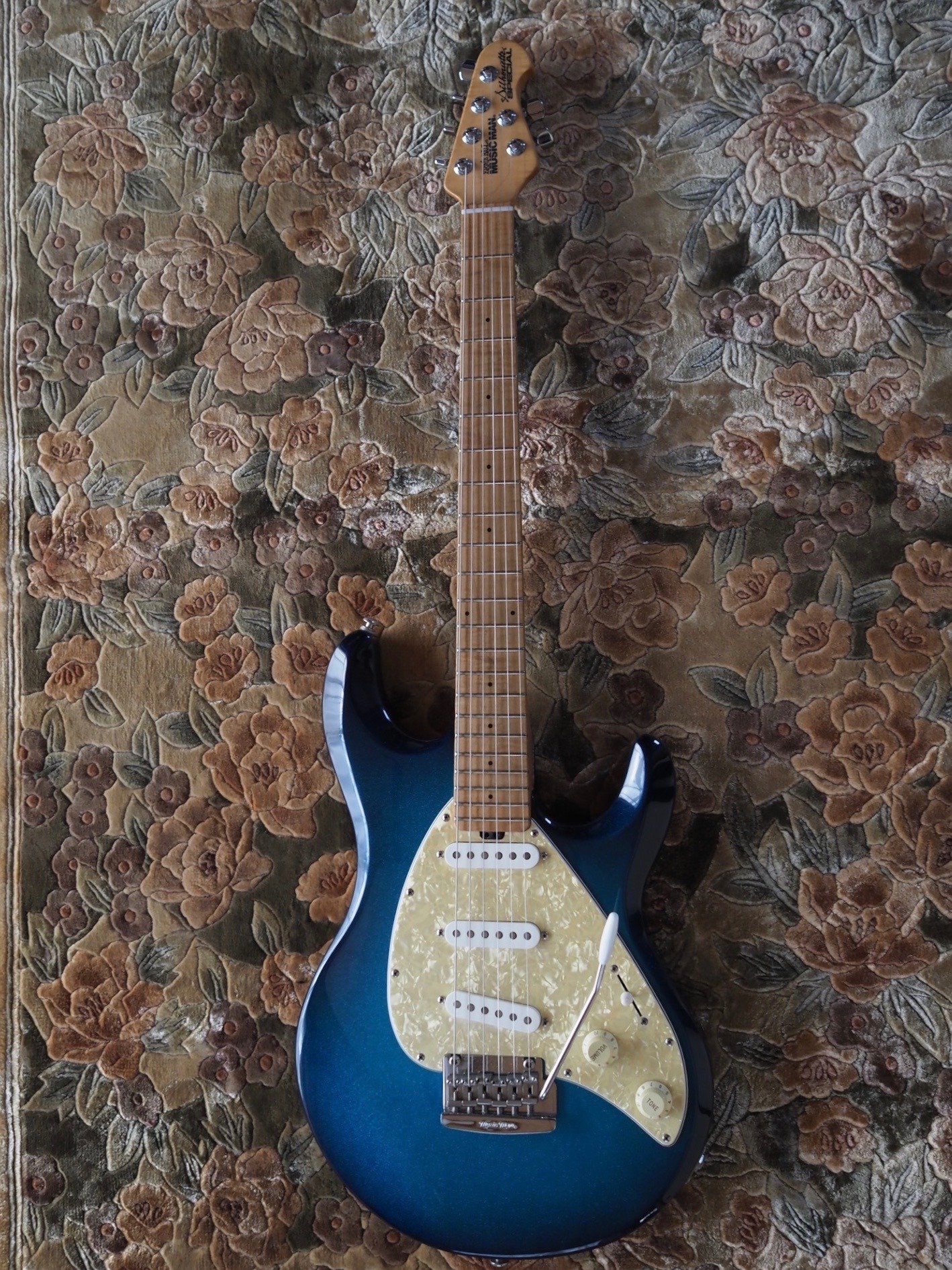 趣味のエレキギター｜mel_f