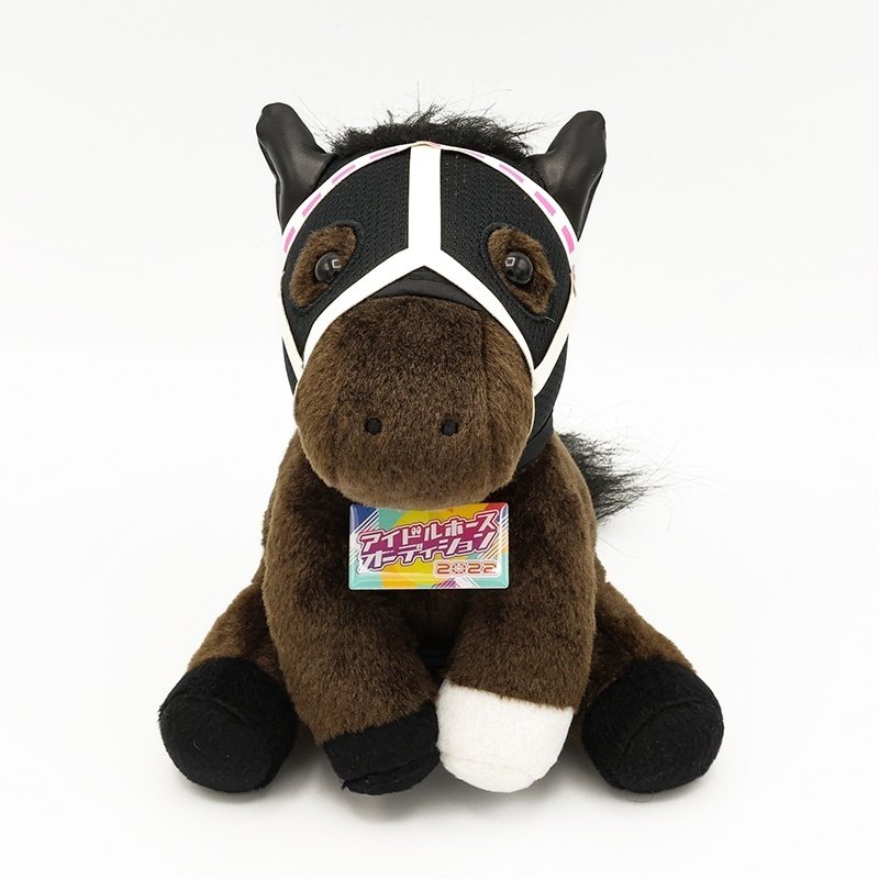 アイドルホースオーディションの5頭が来たぞー！解説します｜LT_1E0