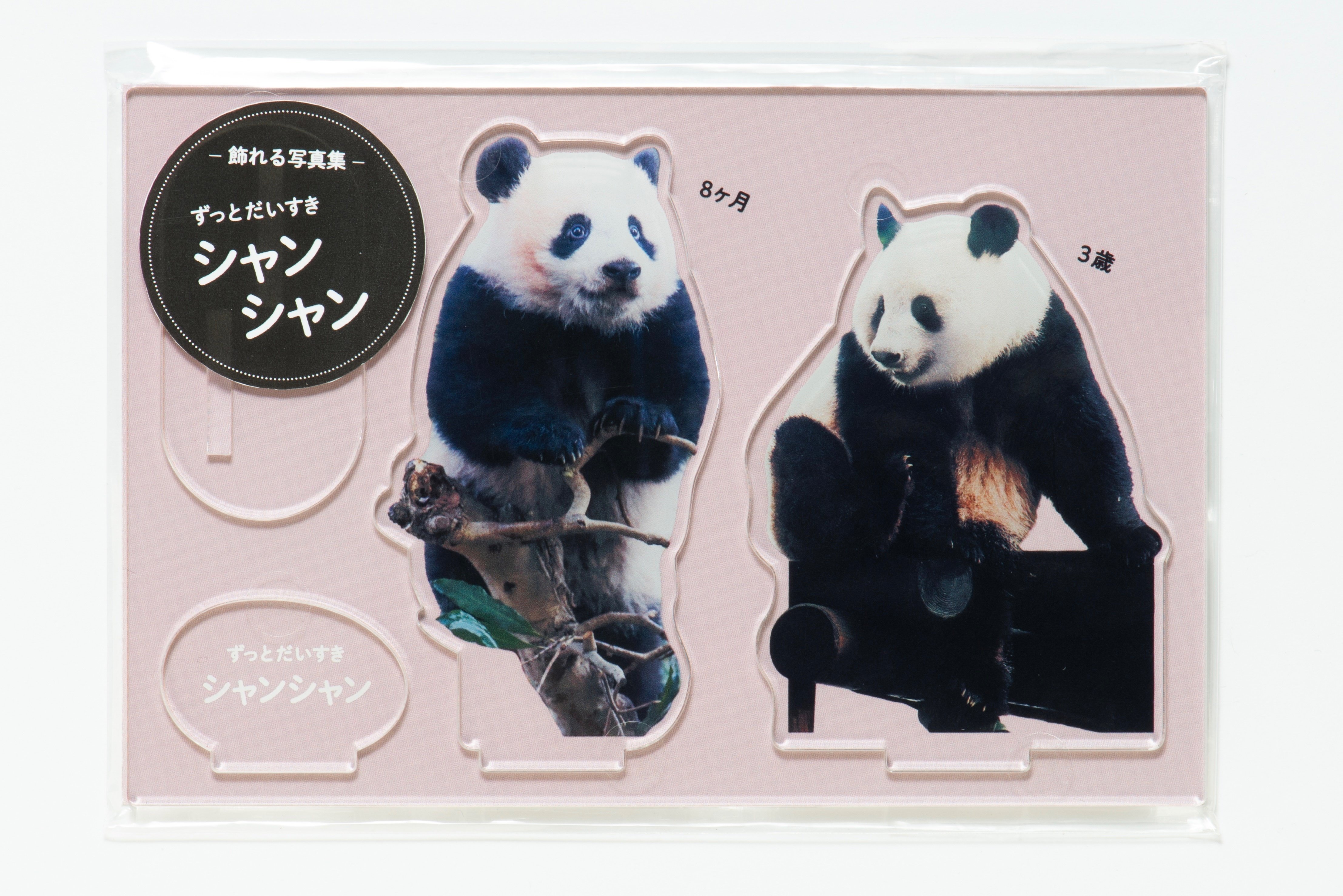 飾れる写真集 ずっとだいすきシャンシャン」について｜上野案内所