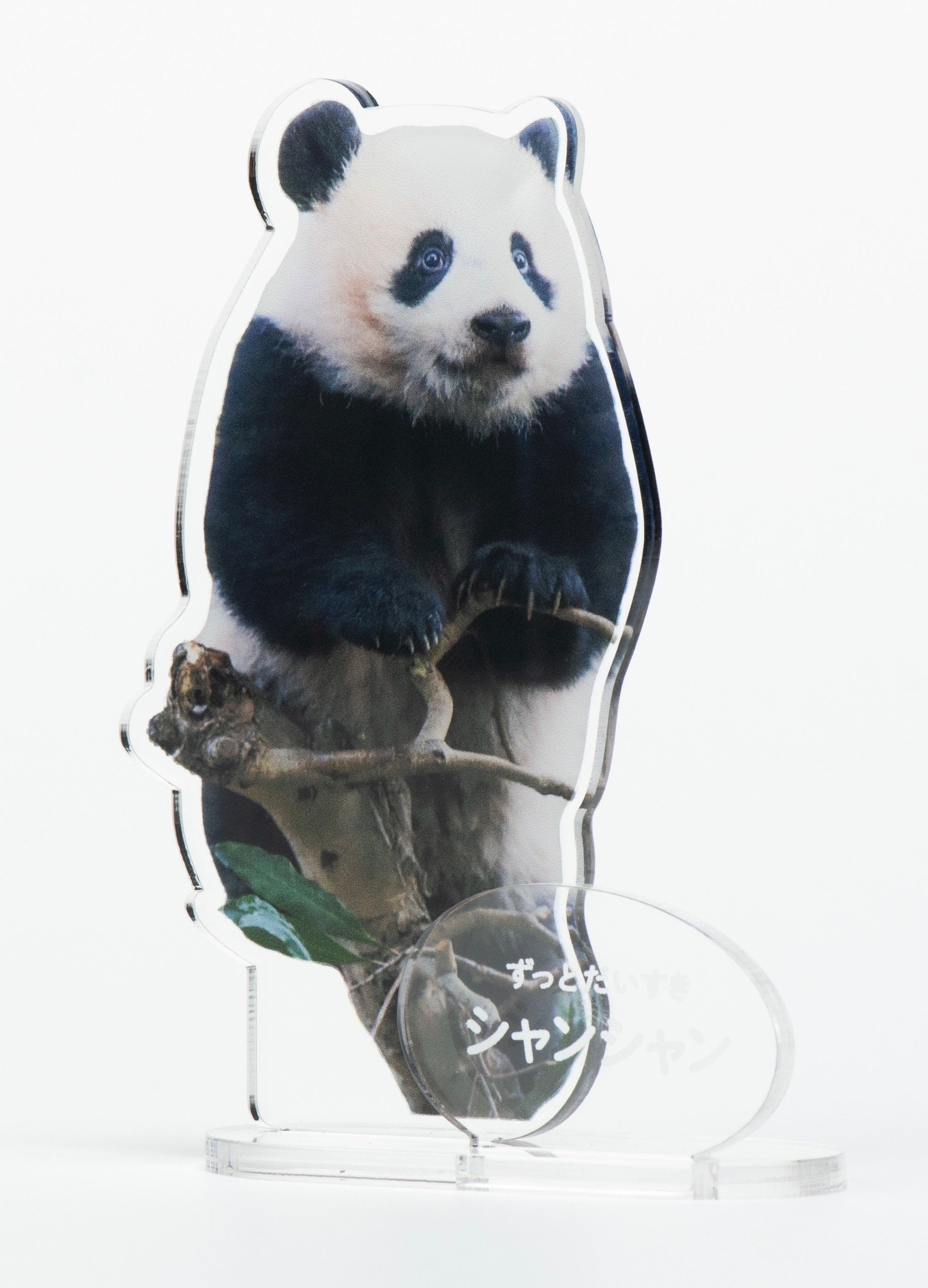 飾れる写真集 ずっとだいすきシャンシャン」について｜上野案内所