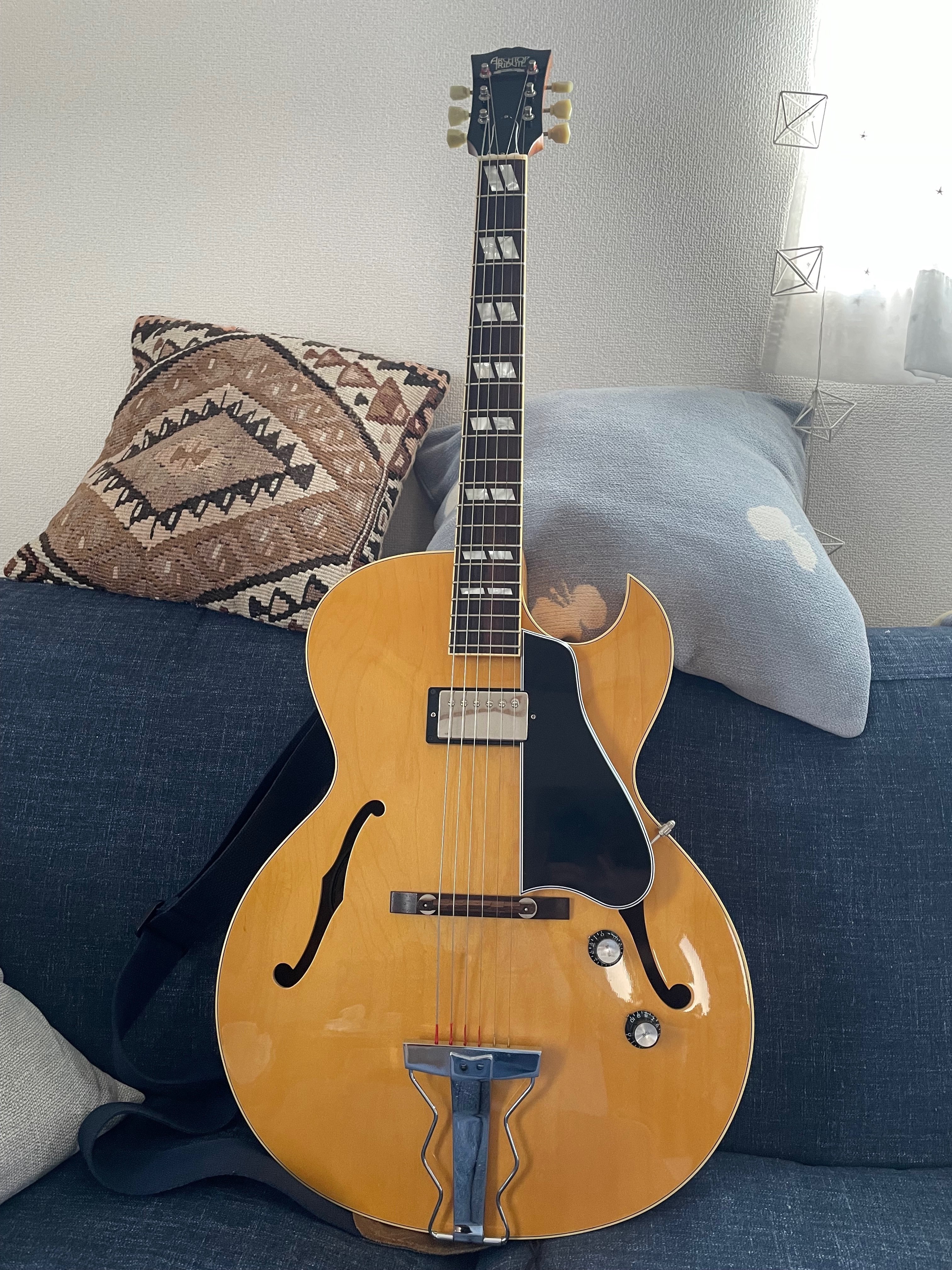 機材紹介：Archtop Tribute AT102｜Hikosans