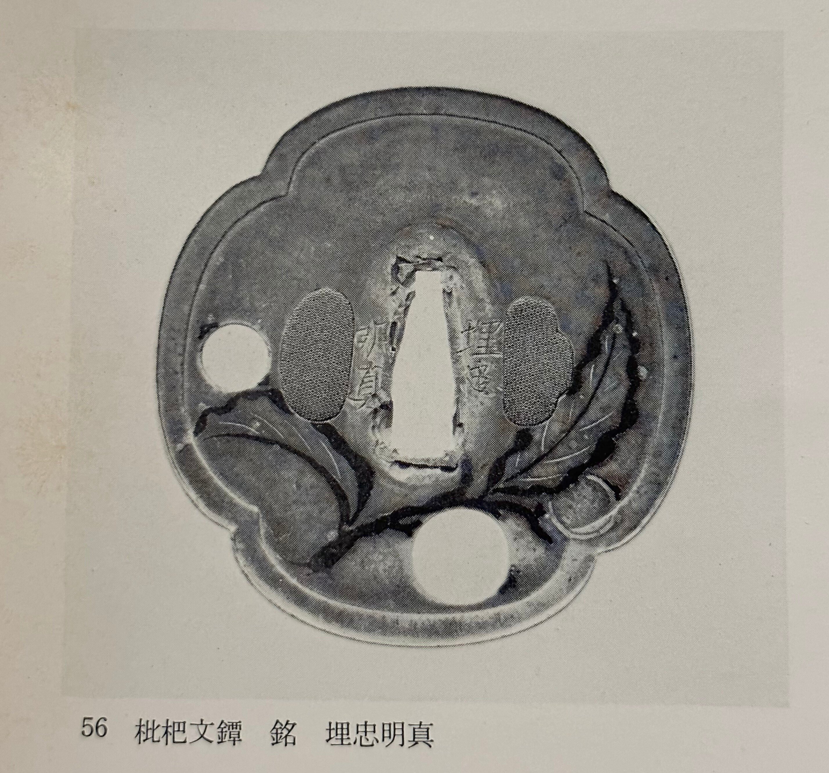 埋忠明寿以外の九年母図鐔の作柄について｜刀箱師の日本刀ブログ 中村圭佑