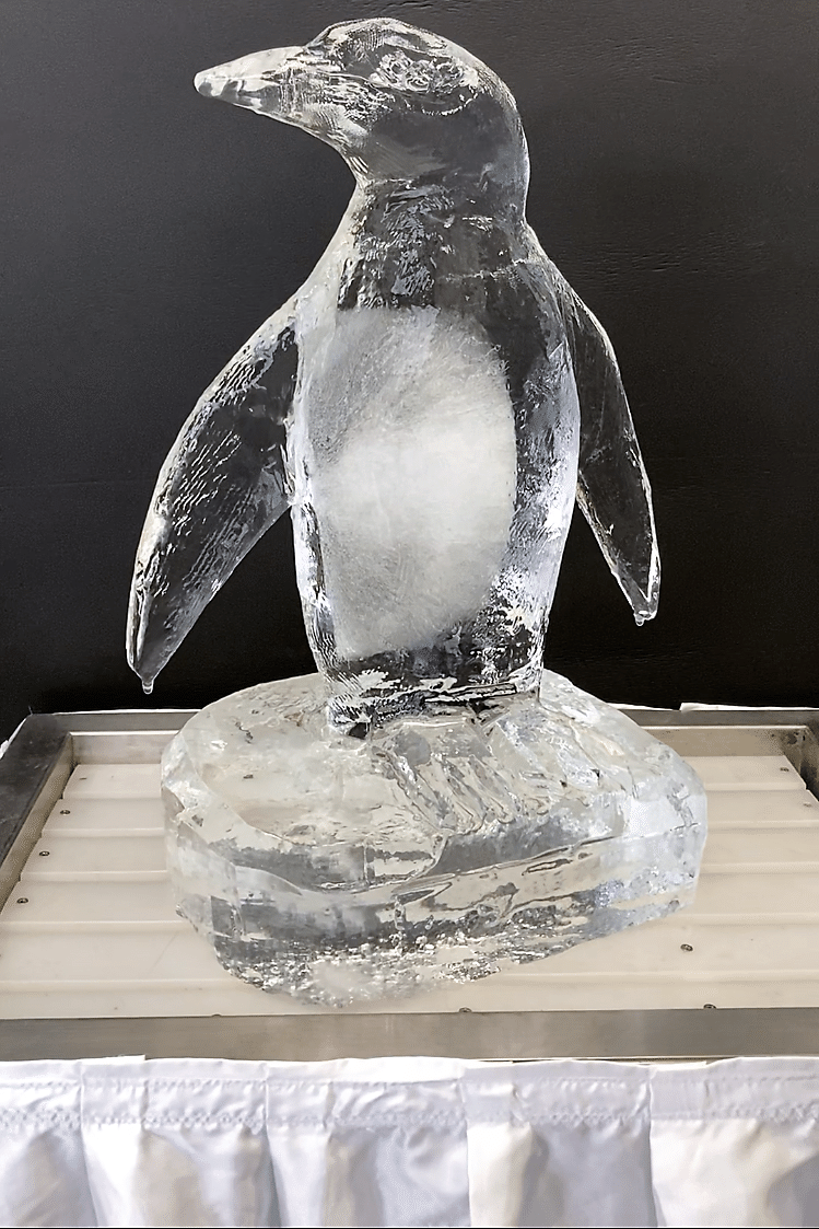 製作事例】氷と言えばペンギン？【世界ペンギンの日】｜小野田の超純氷