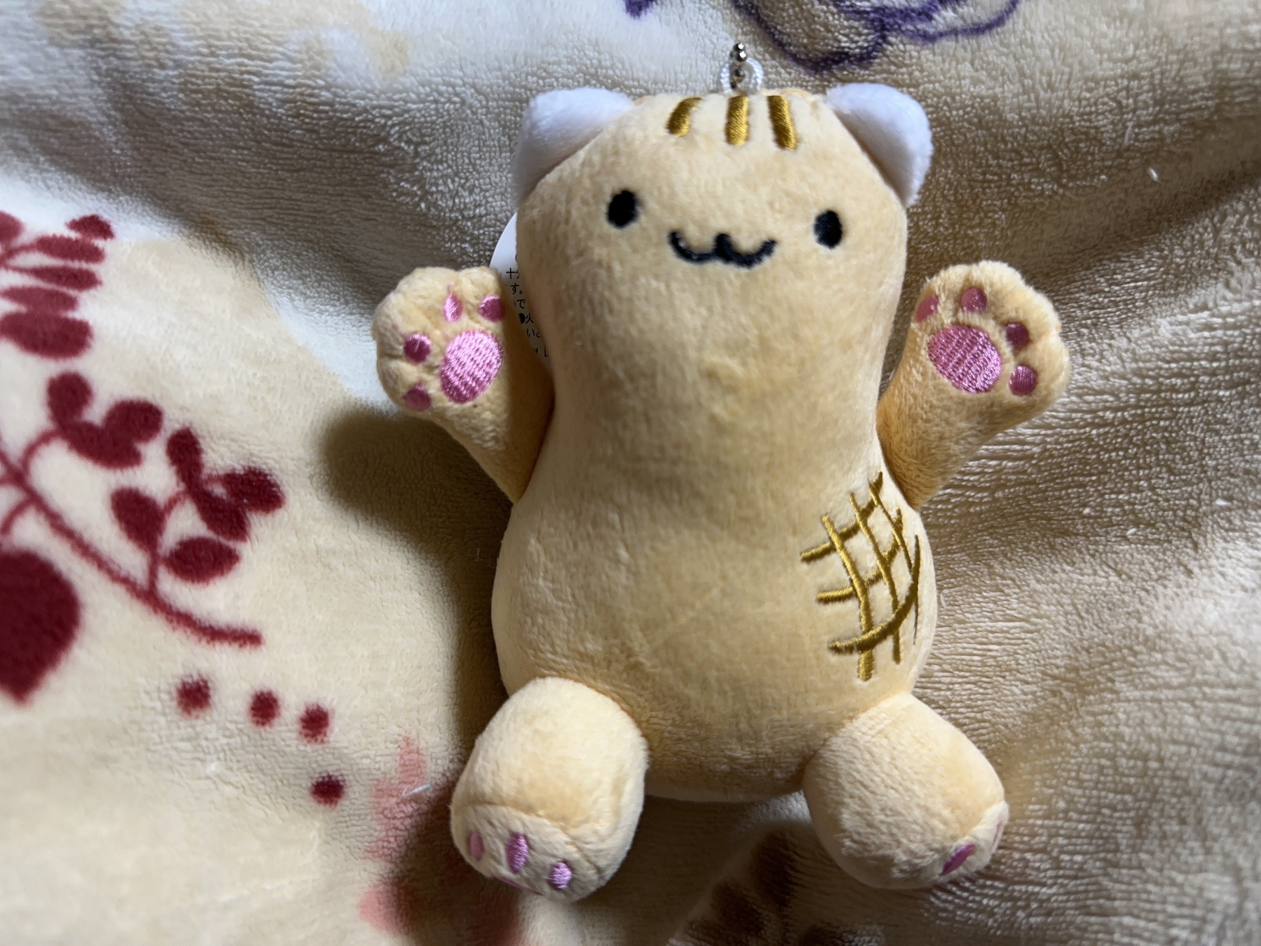 千葉県民の日 千葉県の落花生のような猫ちゃん？！ マスコット