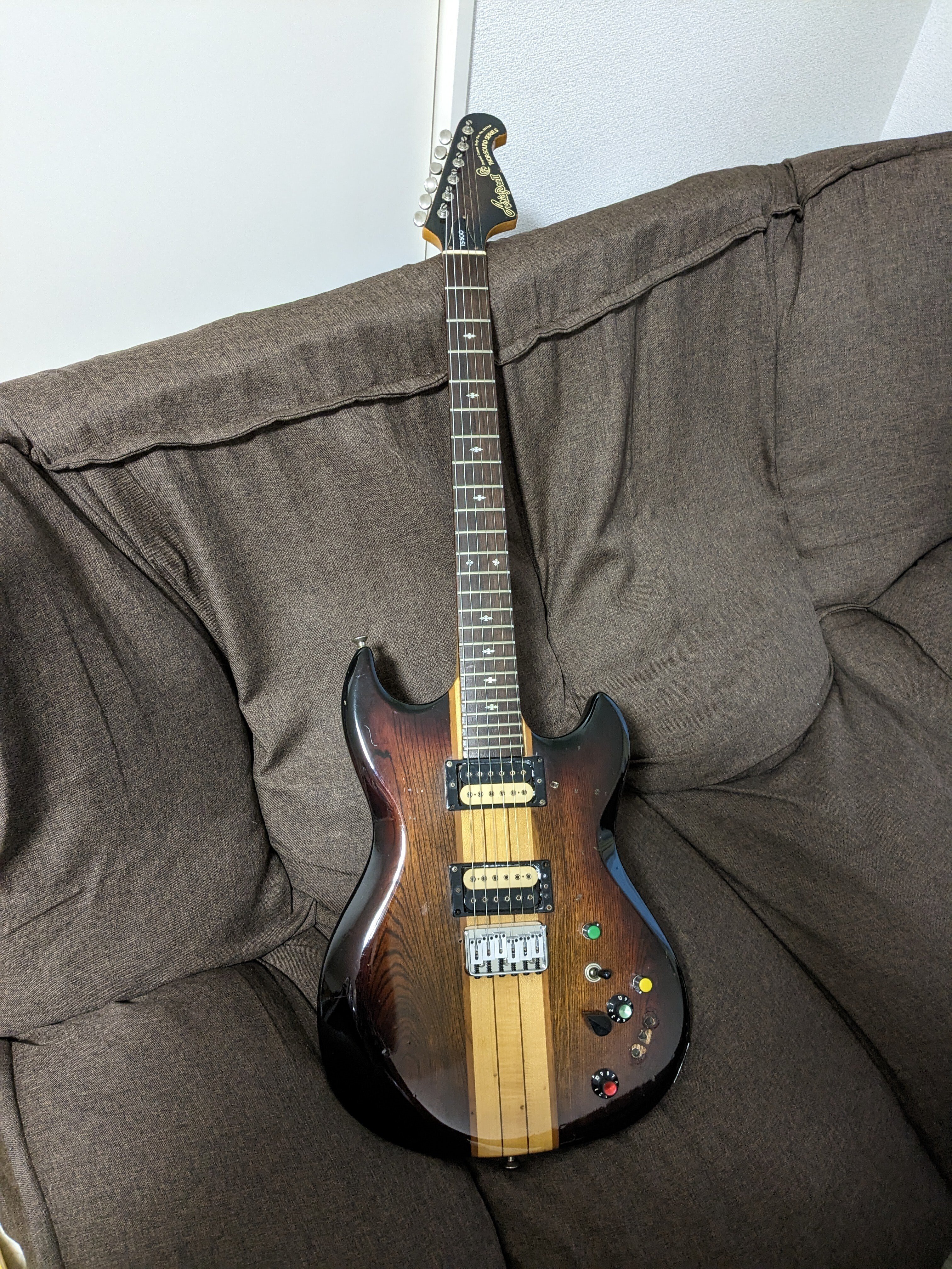 Aria ProⅡ TS-500（改）｜ボーンアンドスキンA