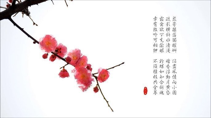心に響く漢詩】北宋・林逋「山園小梅」～「疎影」と「暗香」｜泉聲悠韻
