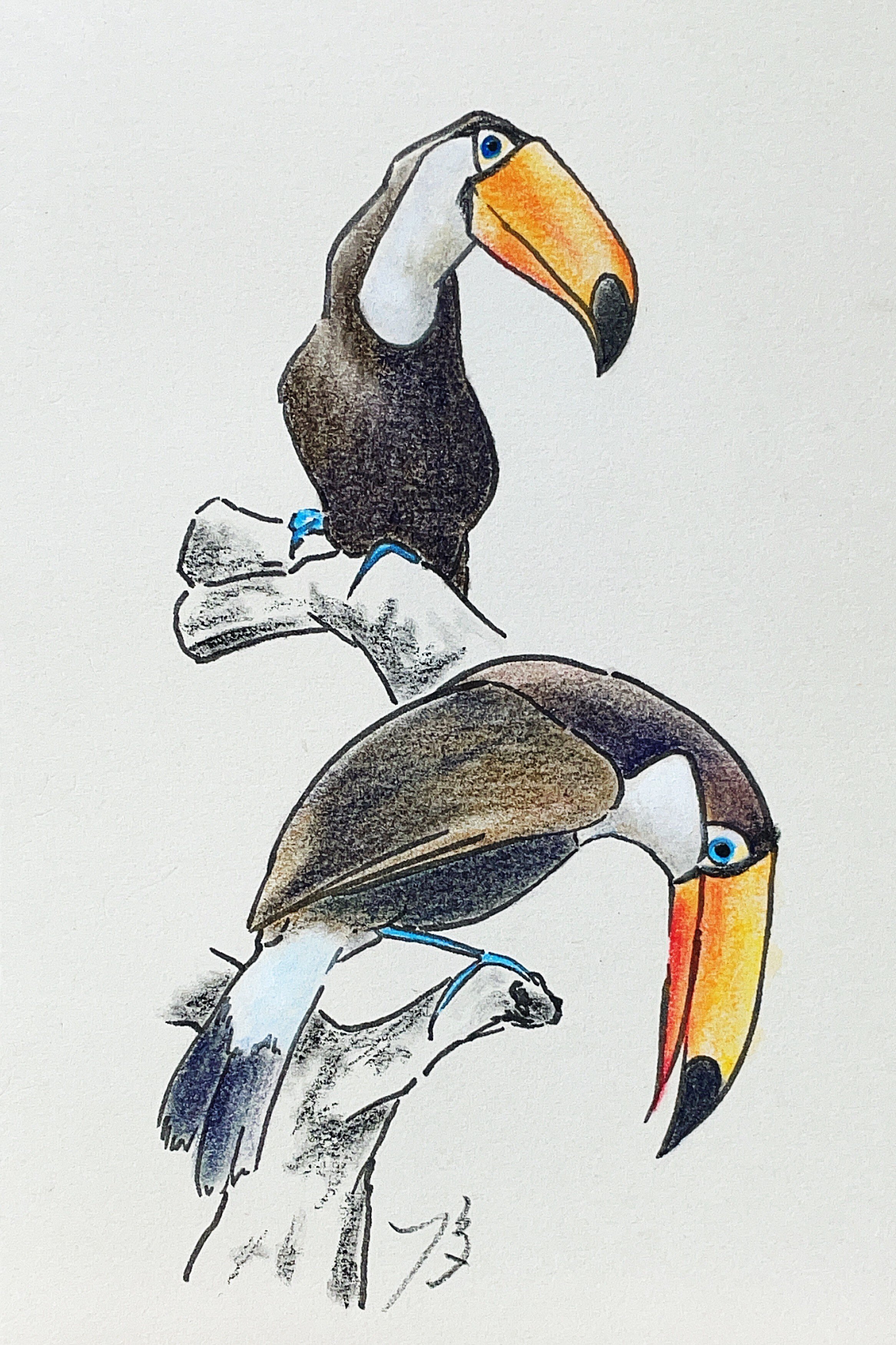 パステル画作品集]鳥にも色々ありまして｜てぃーが Pastel Artist