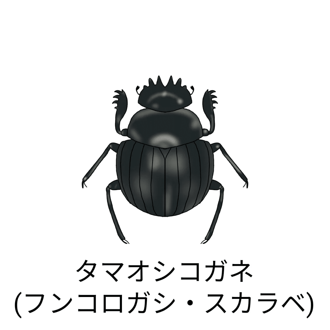 アリスの昆虫教室 フンコロガシ編｜ちかのべ文庫代表のチカノベ