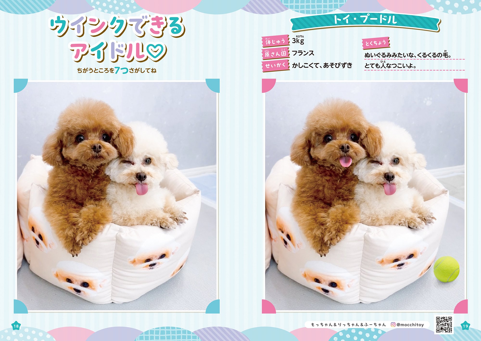 もふもふ動物にいやされる♪ SNSで大人気の動物たちがまちがいさがしに