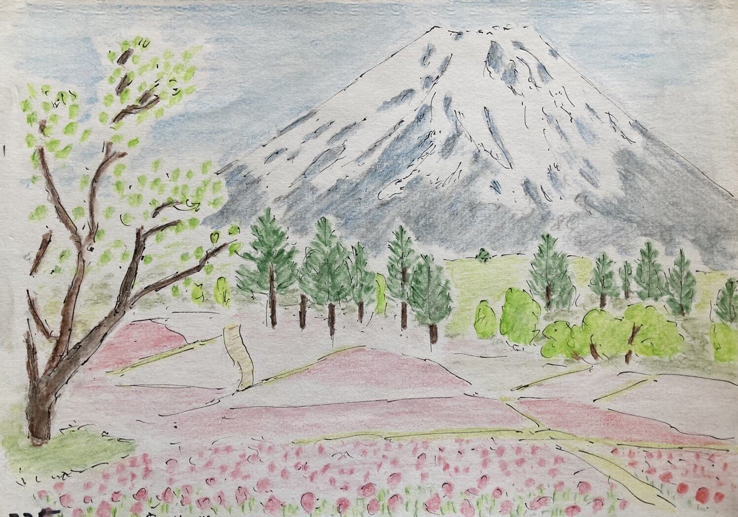 富士山スケッチ⑩】富士芝櫻・田貫湖・葉山・立石公園｜Mt. Fuji