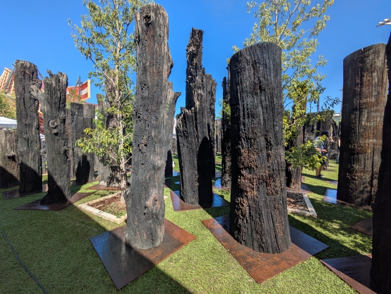 大阪関西万博 チェコパビリオン 非売品 文明の森写真集 大阪関西万博