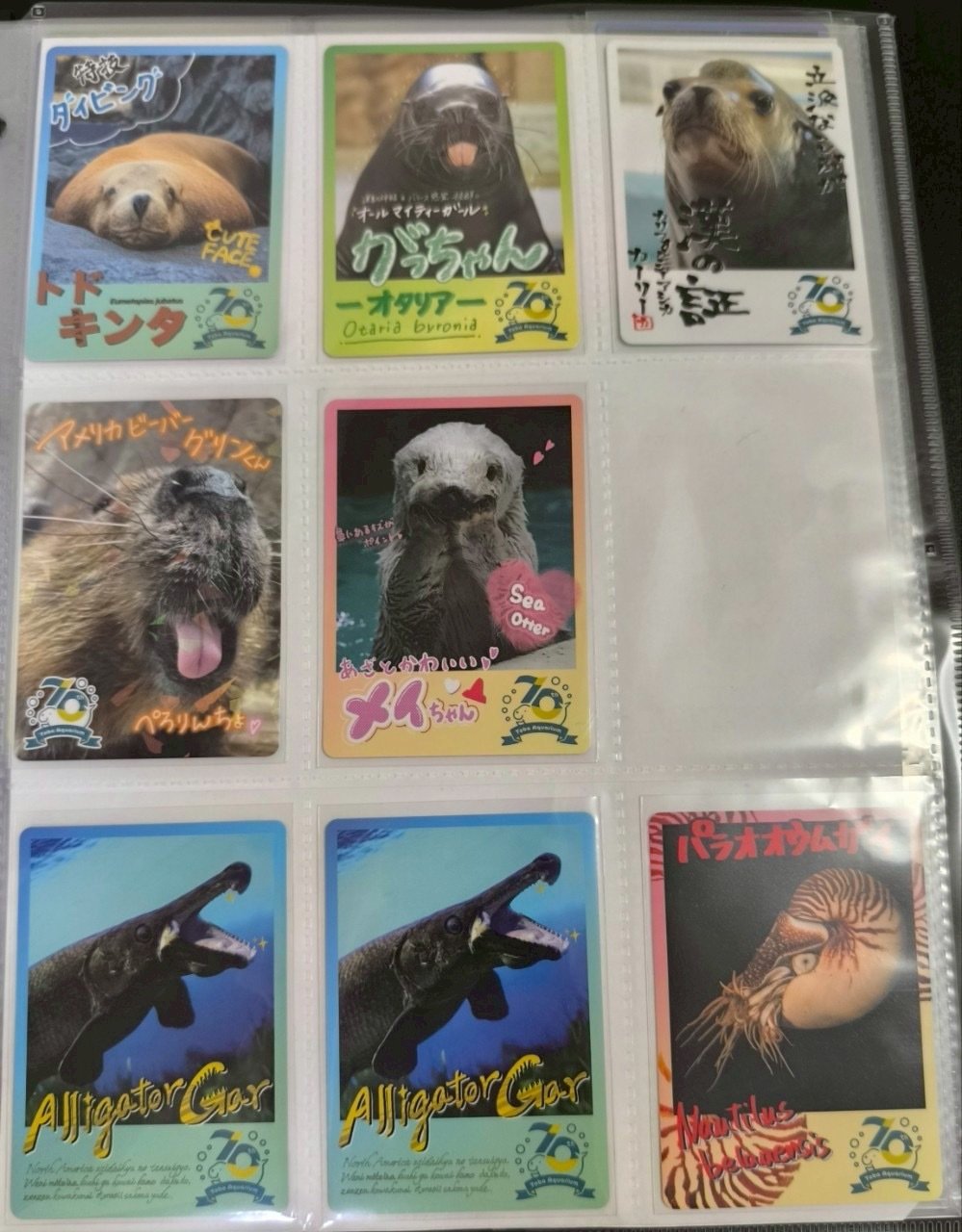 鳥羽旅行おまけ】鳥羽水族館でゲットしたグッズ｜コレクションカード
