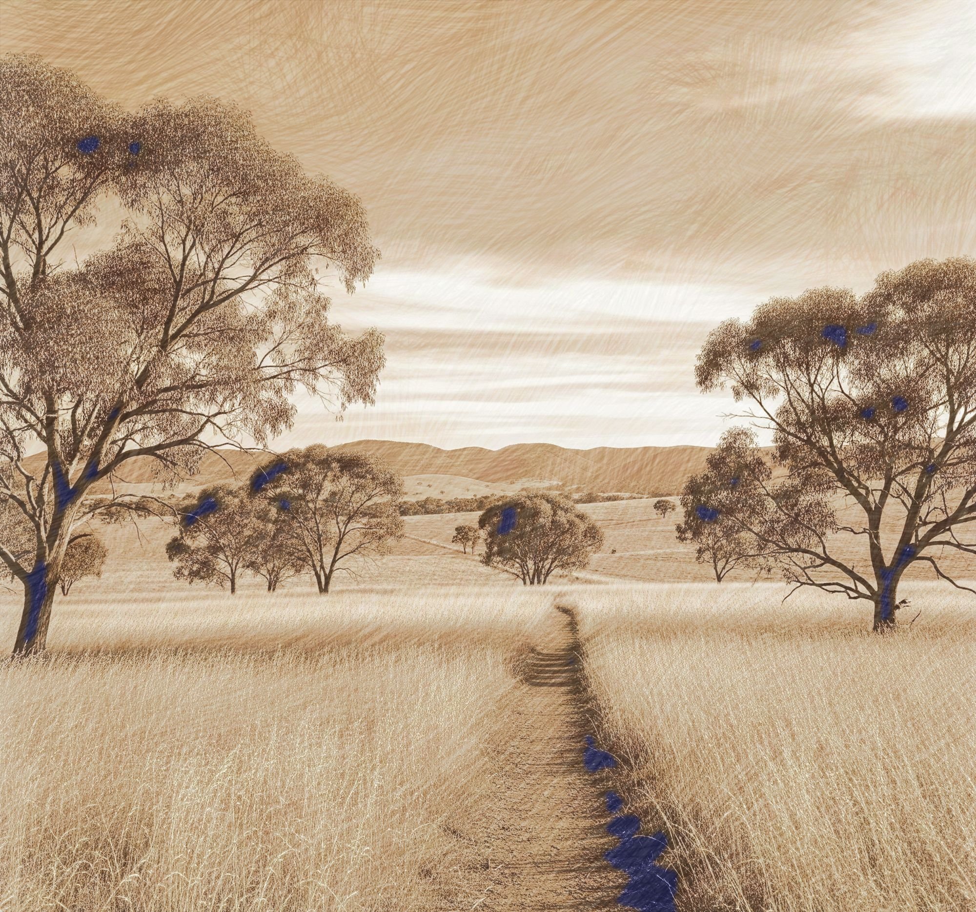 自作の色鉛筆画、メロディー｜流離人