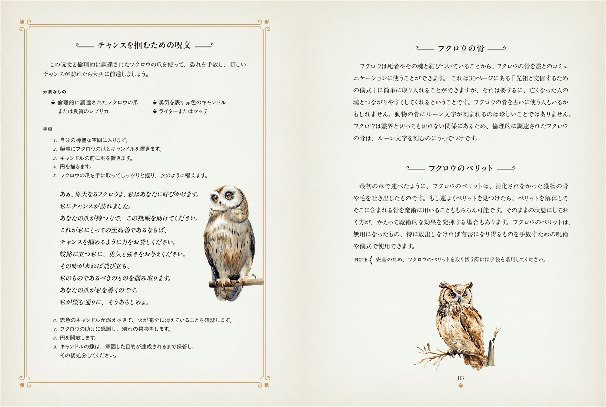 魔法世界と切り離せない使い魔「フクロウ」の生態と伝承、魔術の実践