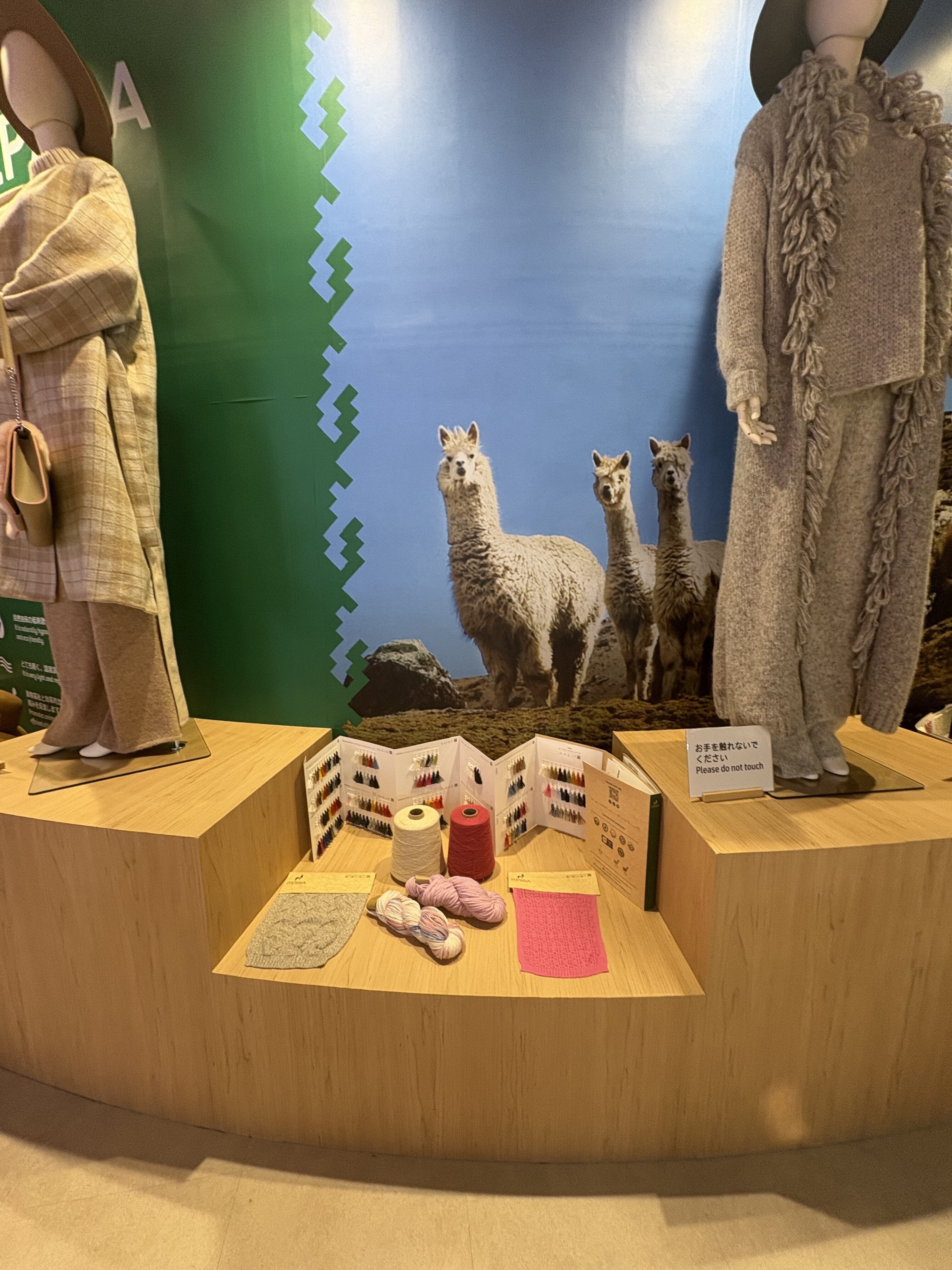 万博2025体験記 #51】ペルーの絶景とあたたかさに包まれて〜空から眺め