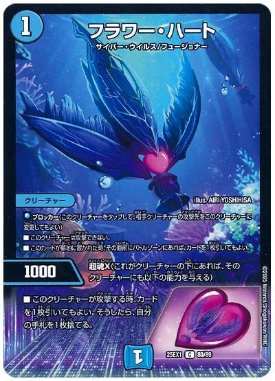 真正面から全力全開！ アグロサイバー｜法相