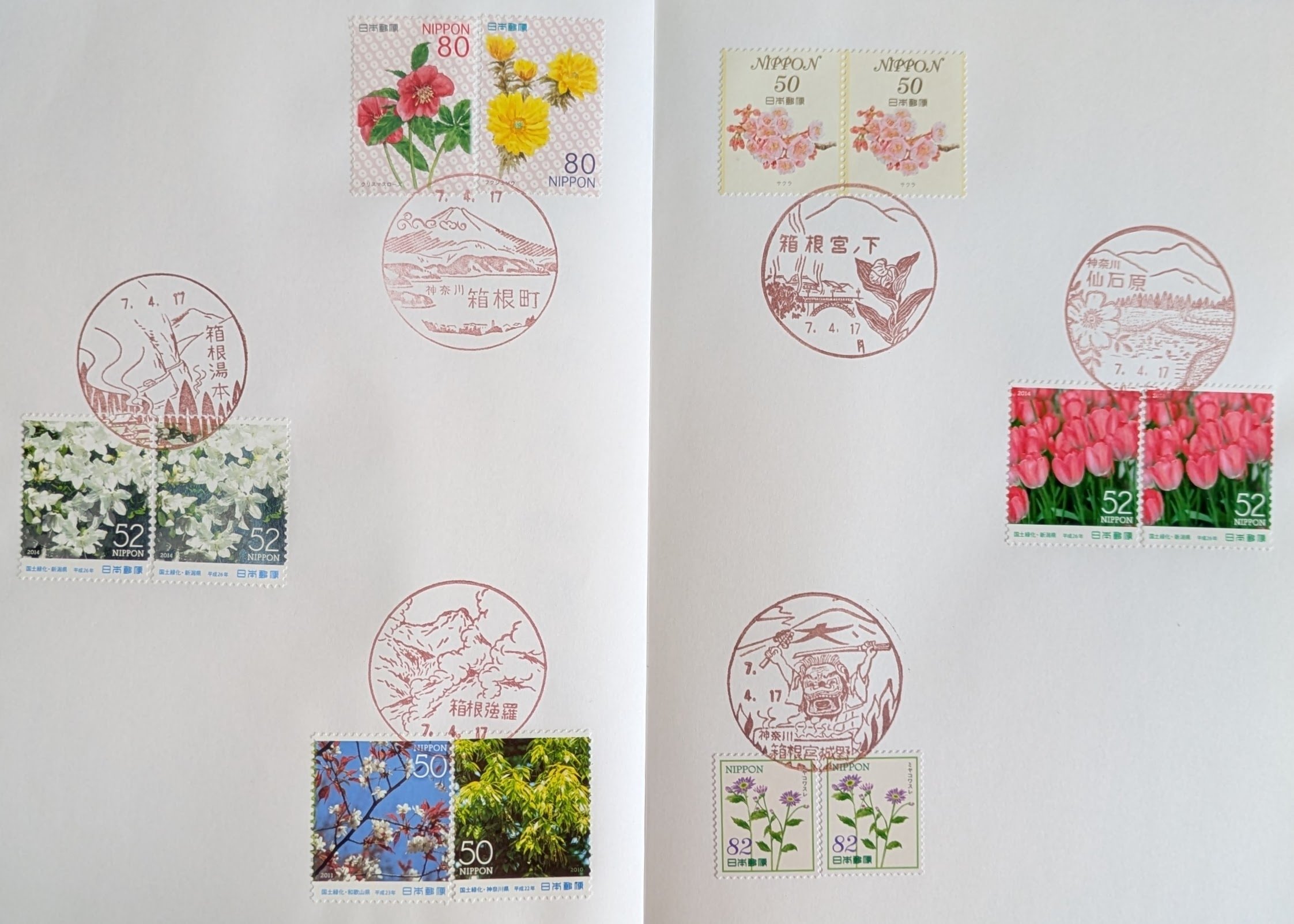 12話：來宮神社の大楠と風景印あつめの話｜日々樹（ひびき）