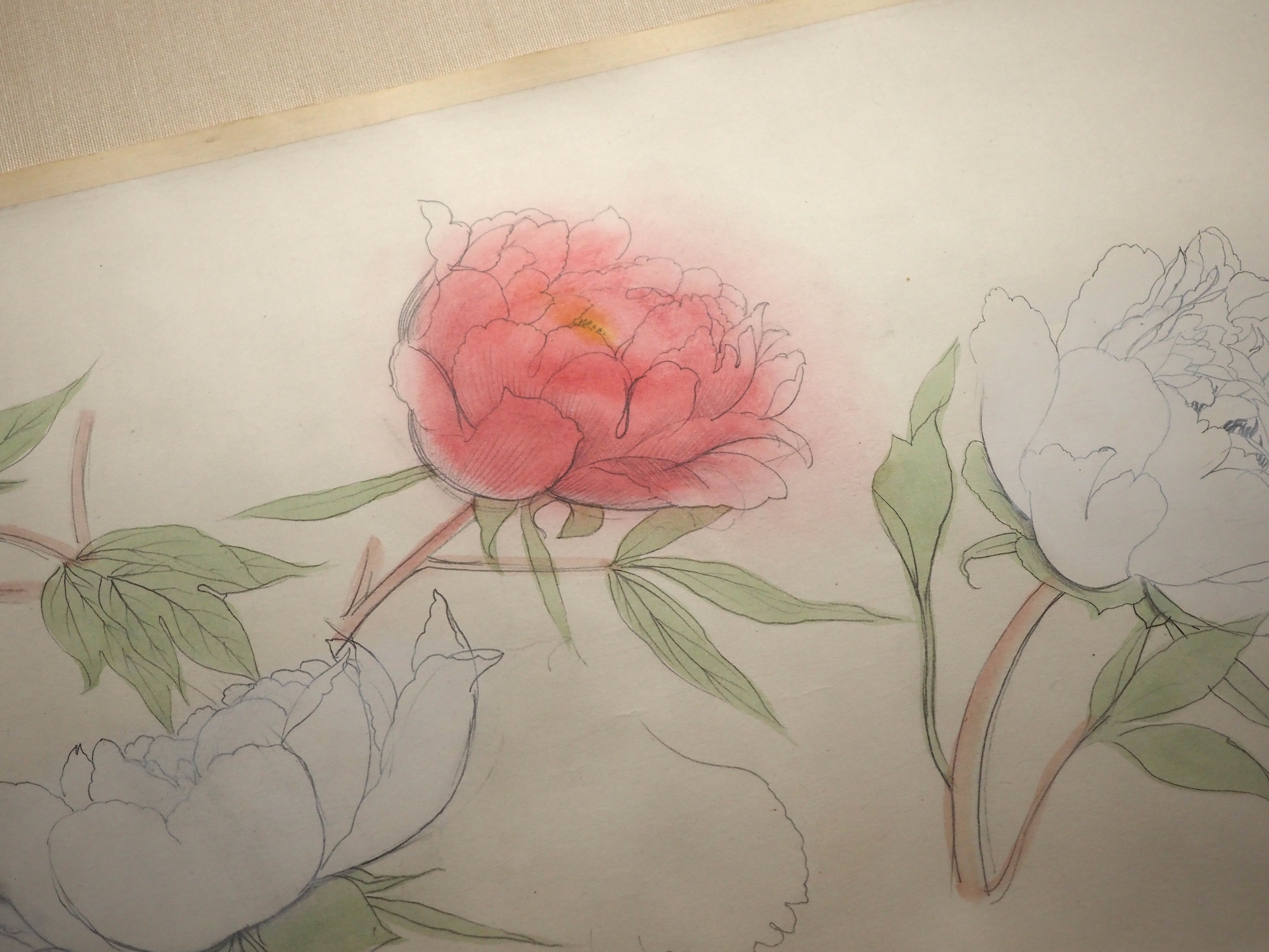 速水御舟の《寒牡丹写生図巻》に惚れ惚れしてきました…＠東京国立近代