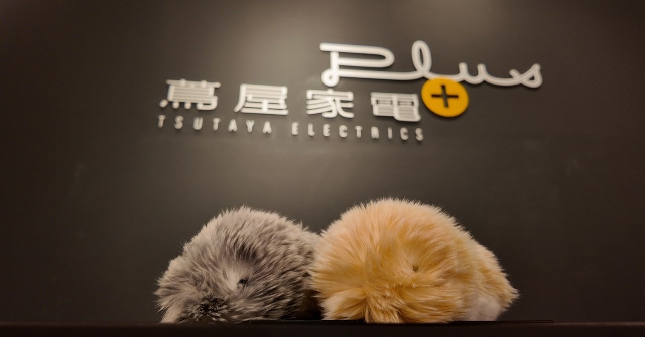 蔦屋家電＋」にてAIペットロボット「Moflin」を展示中です｜カシオ