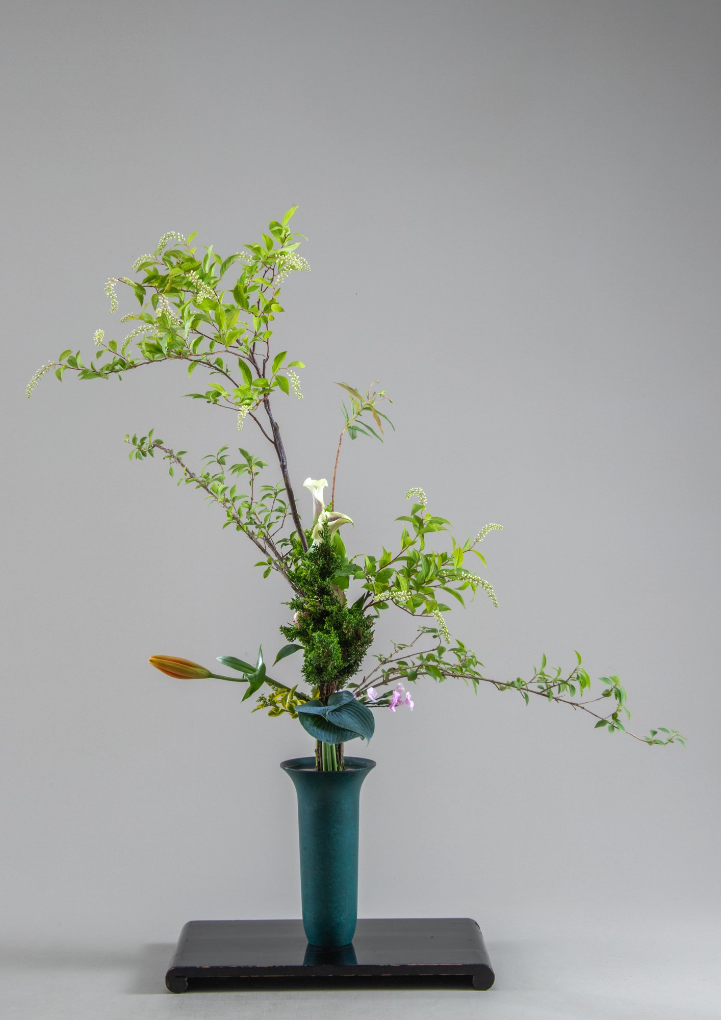 生花＝石化えにしだを伸びやかに用いた置く根締めいけ／立華=りょうぶ