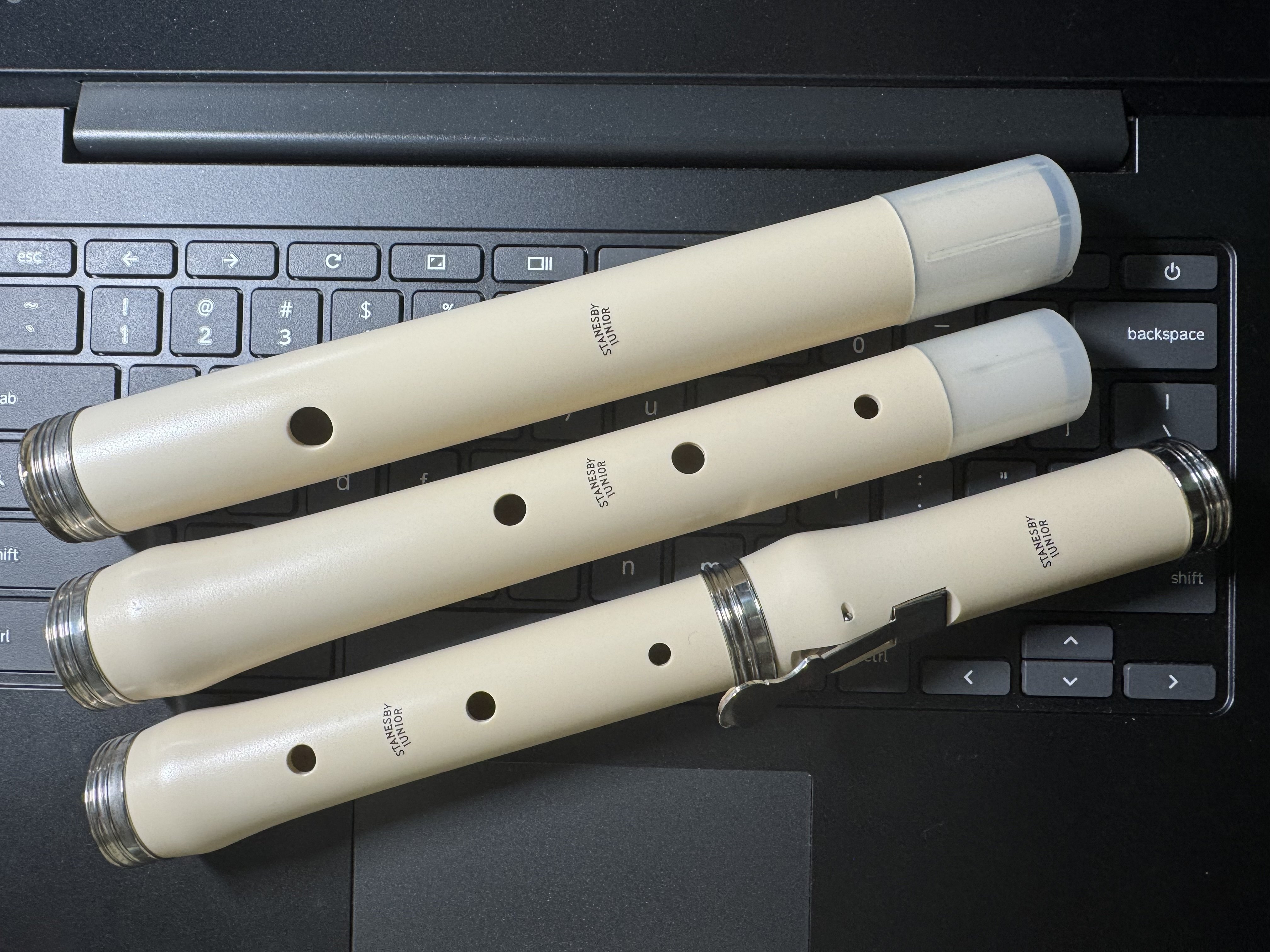 Frauto traverso と 笛の快楽｜まんぼう