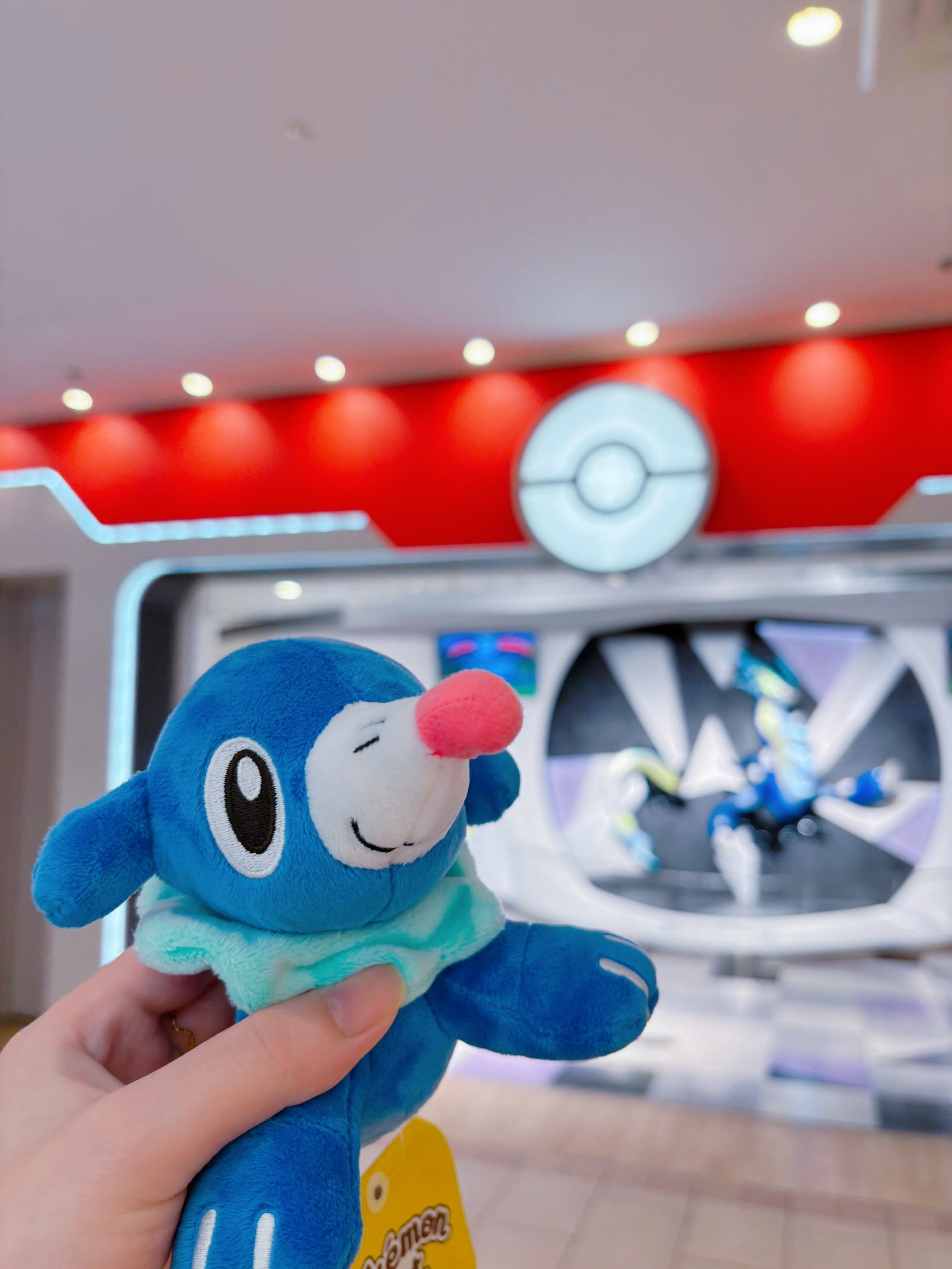 Pokémon fitのアシマリをお迎えした日｜ゆうら