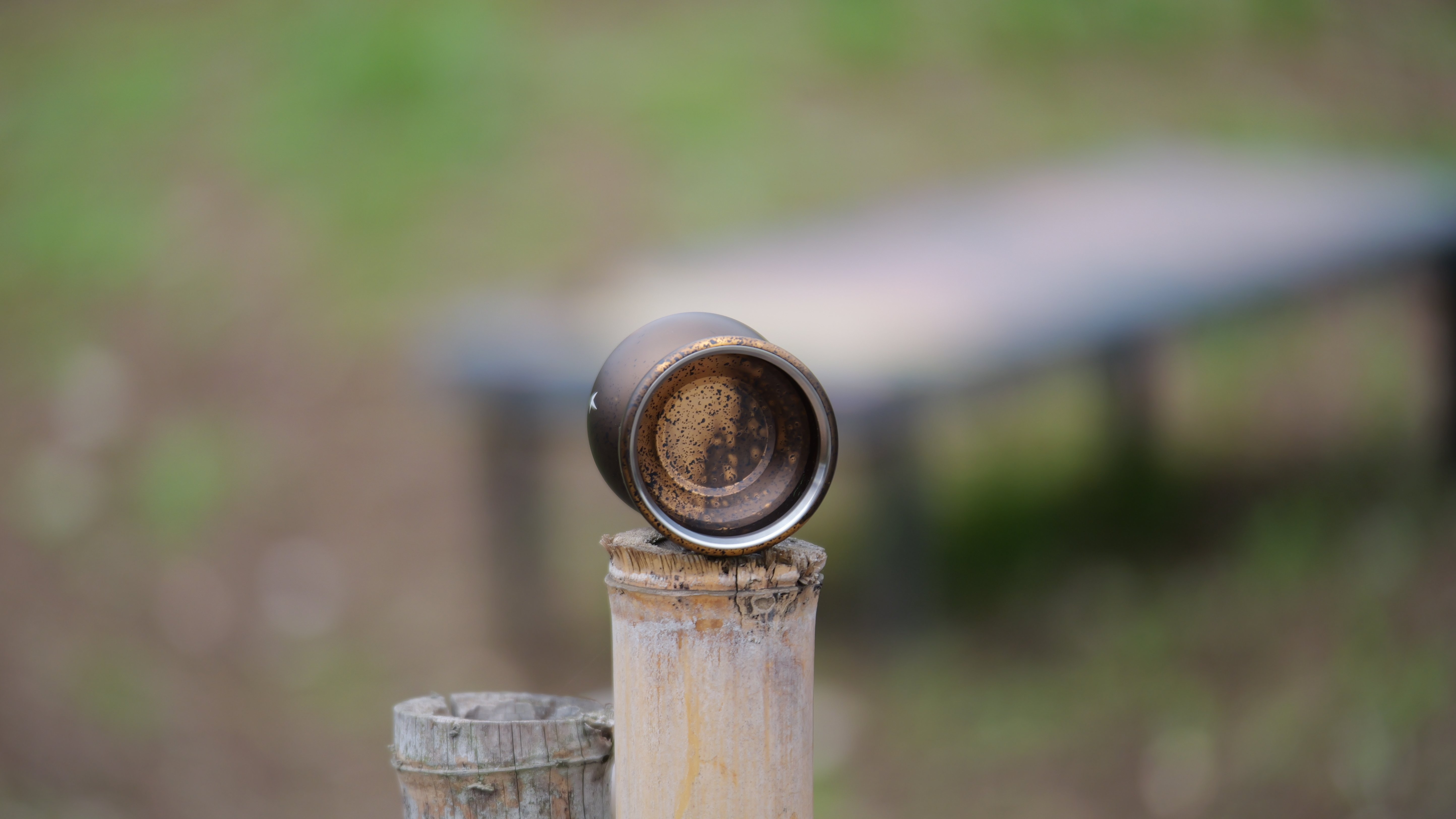 バイメタルモデル「鳥船(トリフネ)」｜en