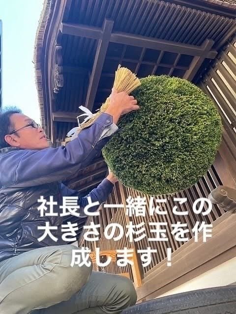 R7終了】新酒の知らせを、あなたの手で！中善酒造店社長と作る「杉玉