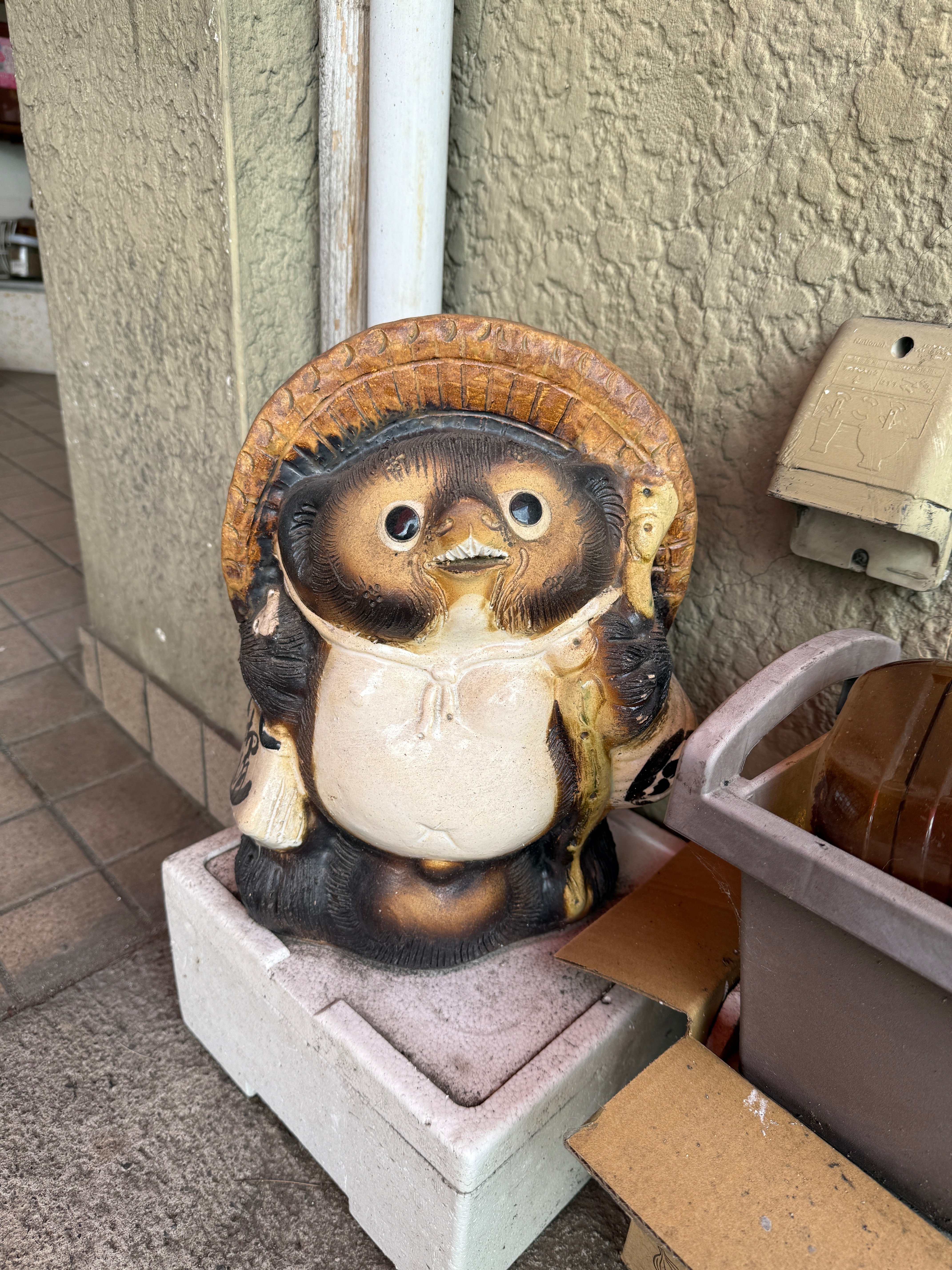 秘蔵 狸コレクション Vol.17｜Masafumi Gotoh