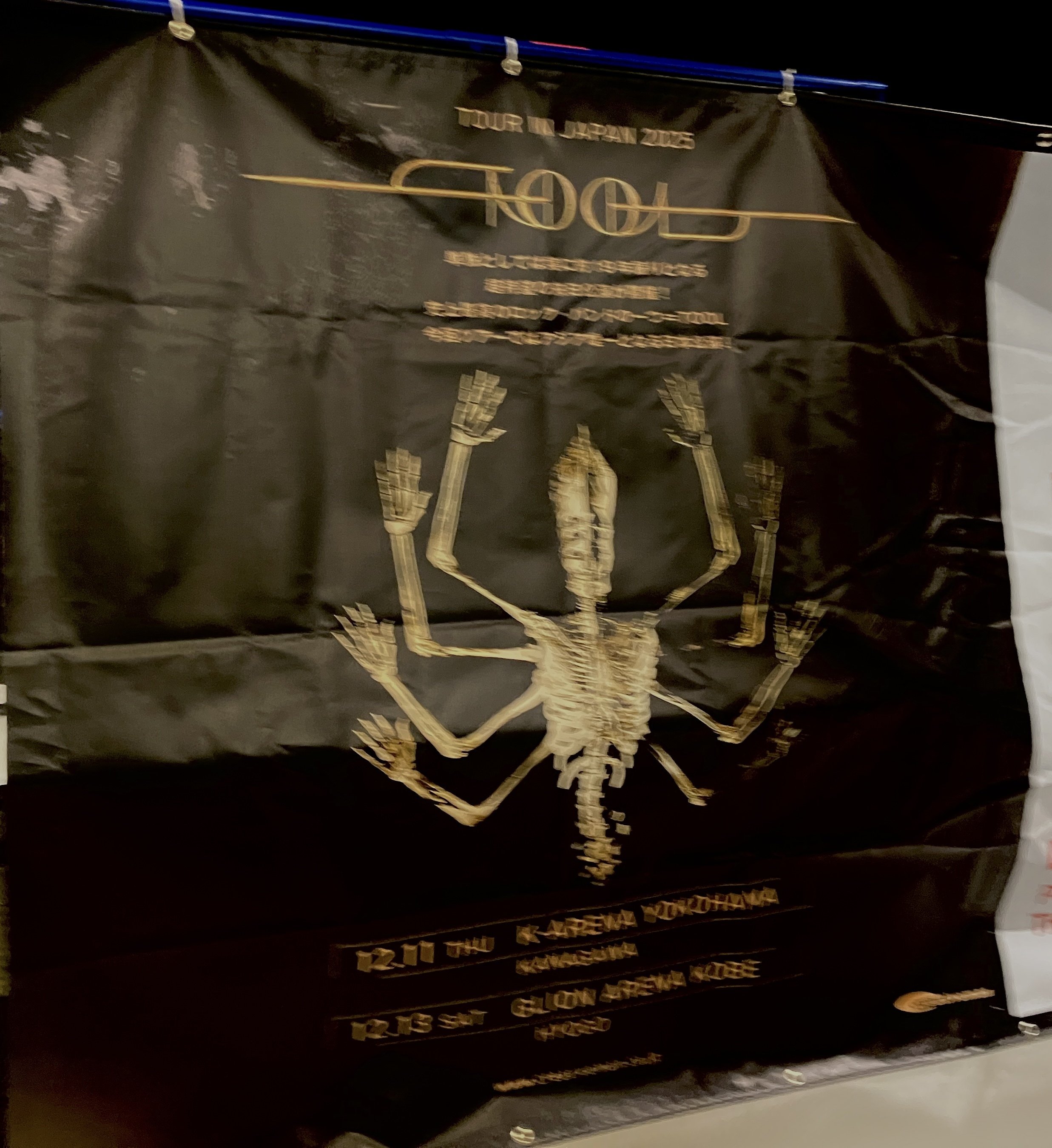 TOOL at 神戸 2025｜YOYO