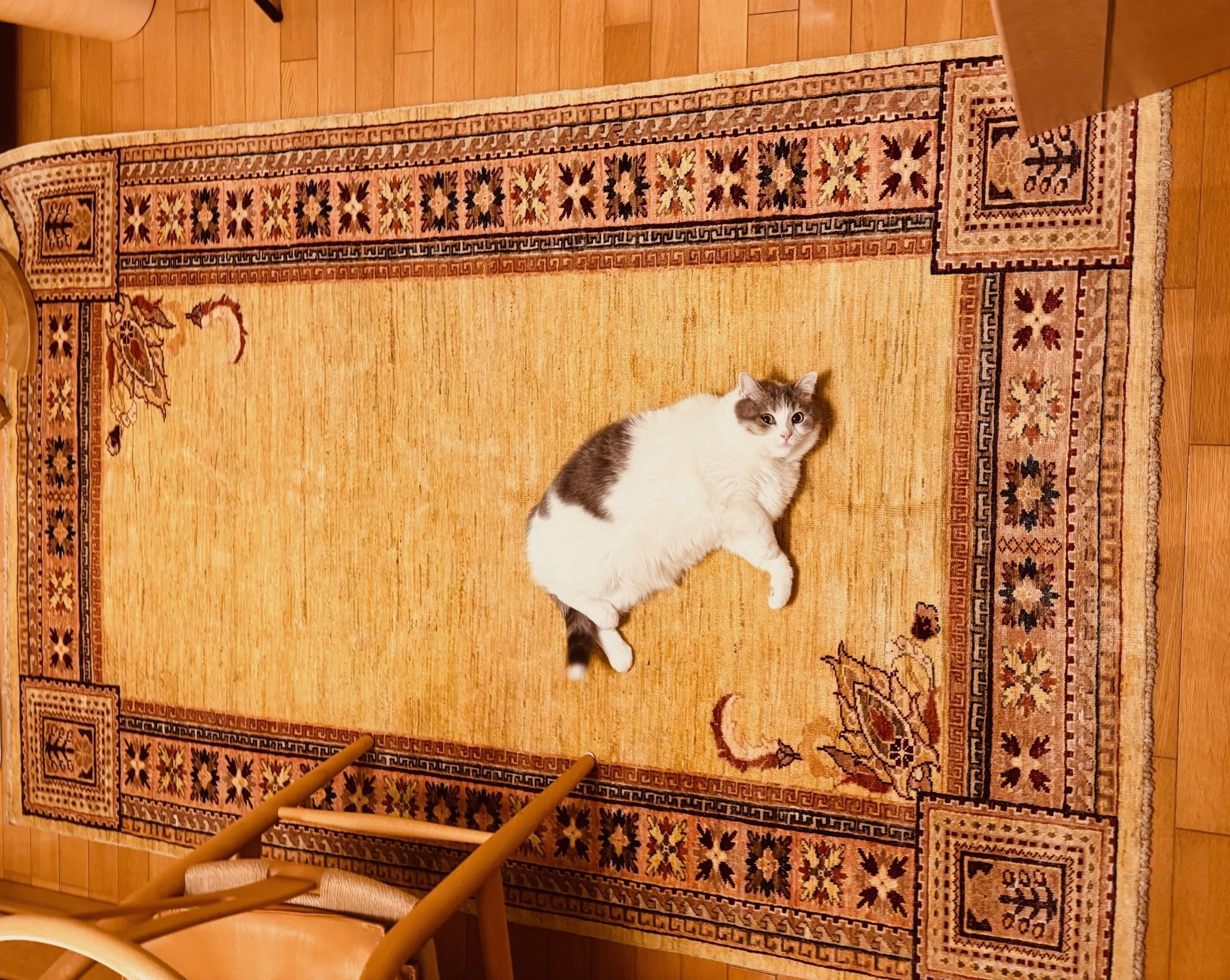 底辺がなかなか気づかないインテリアの最重要ポイント「ペルシャ絨毯