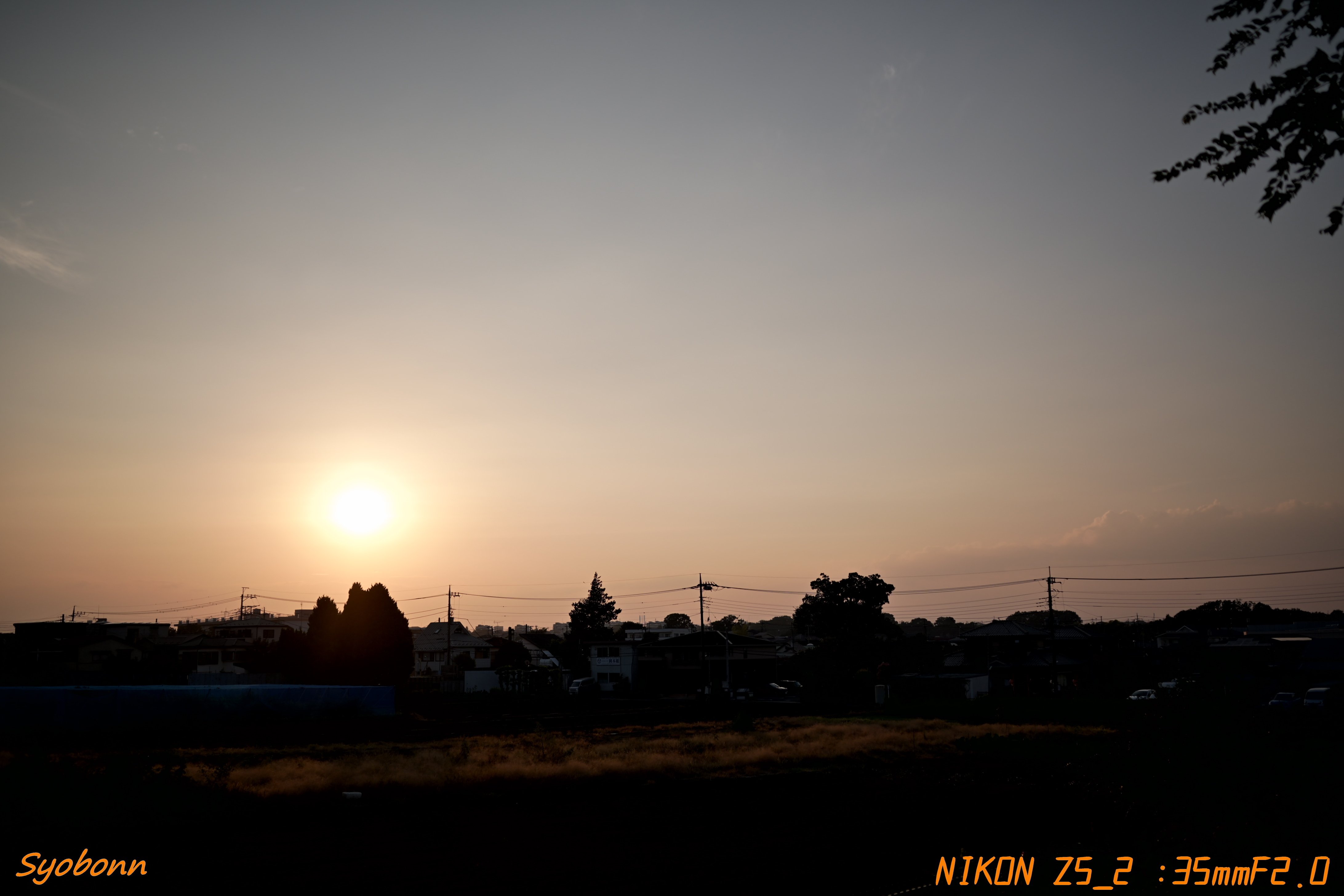 Z35mmF1.8で夕陽 #172_2508｜(´・ω・｀)