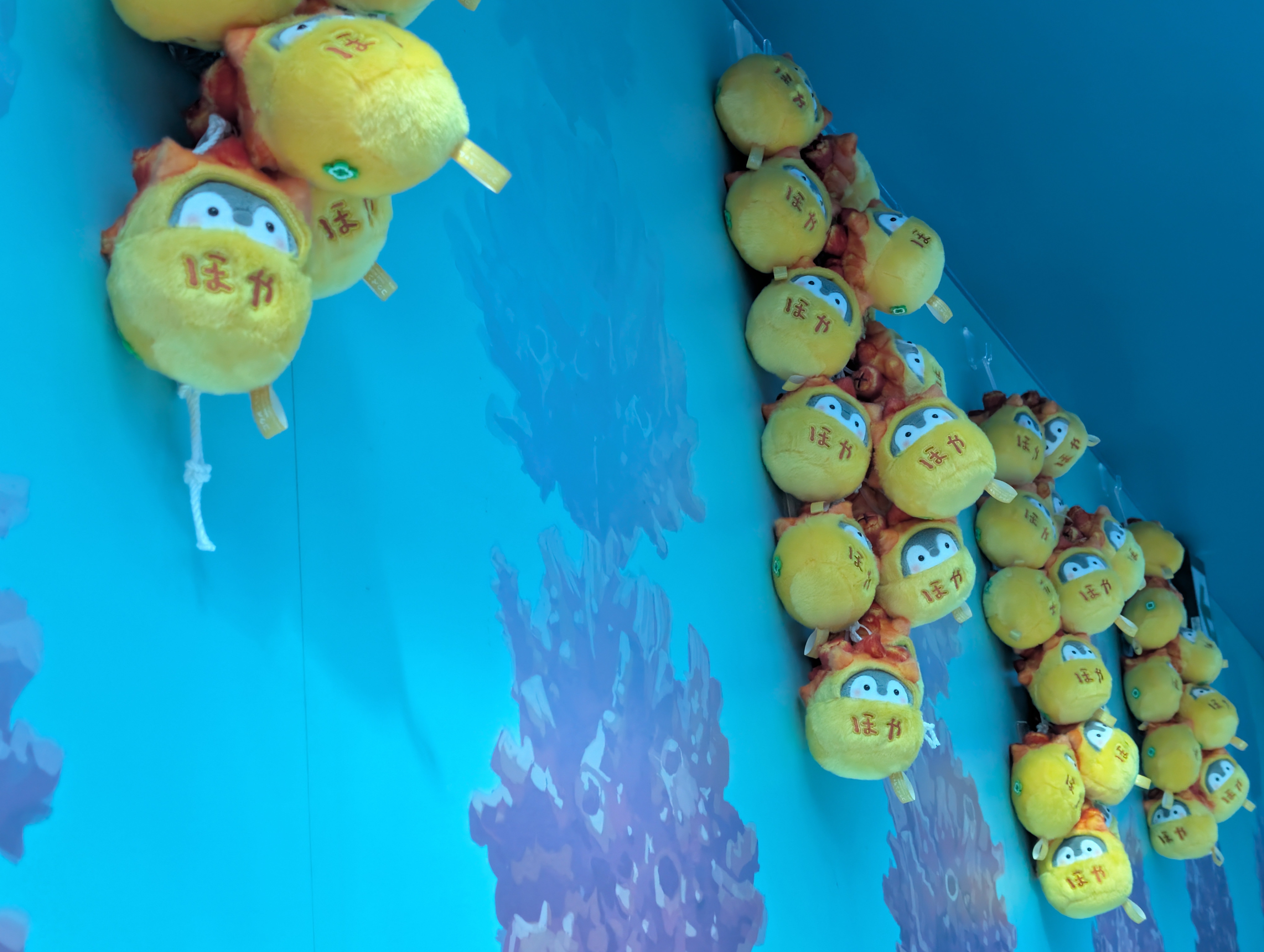 仙台うみの杜水族館×コウペンちゃん」にいってきました｜イベントレポ