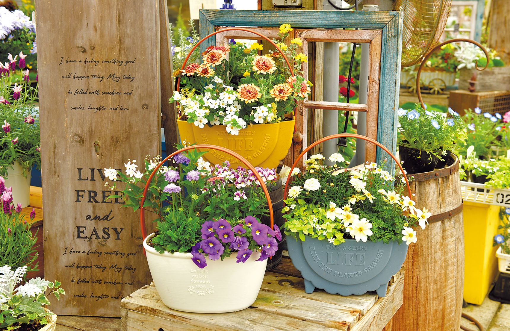 母の日に贈る寄せ植え ／ LIFE UP | 記事一覧 | Web magazine assh