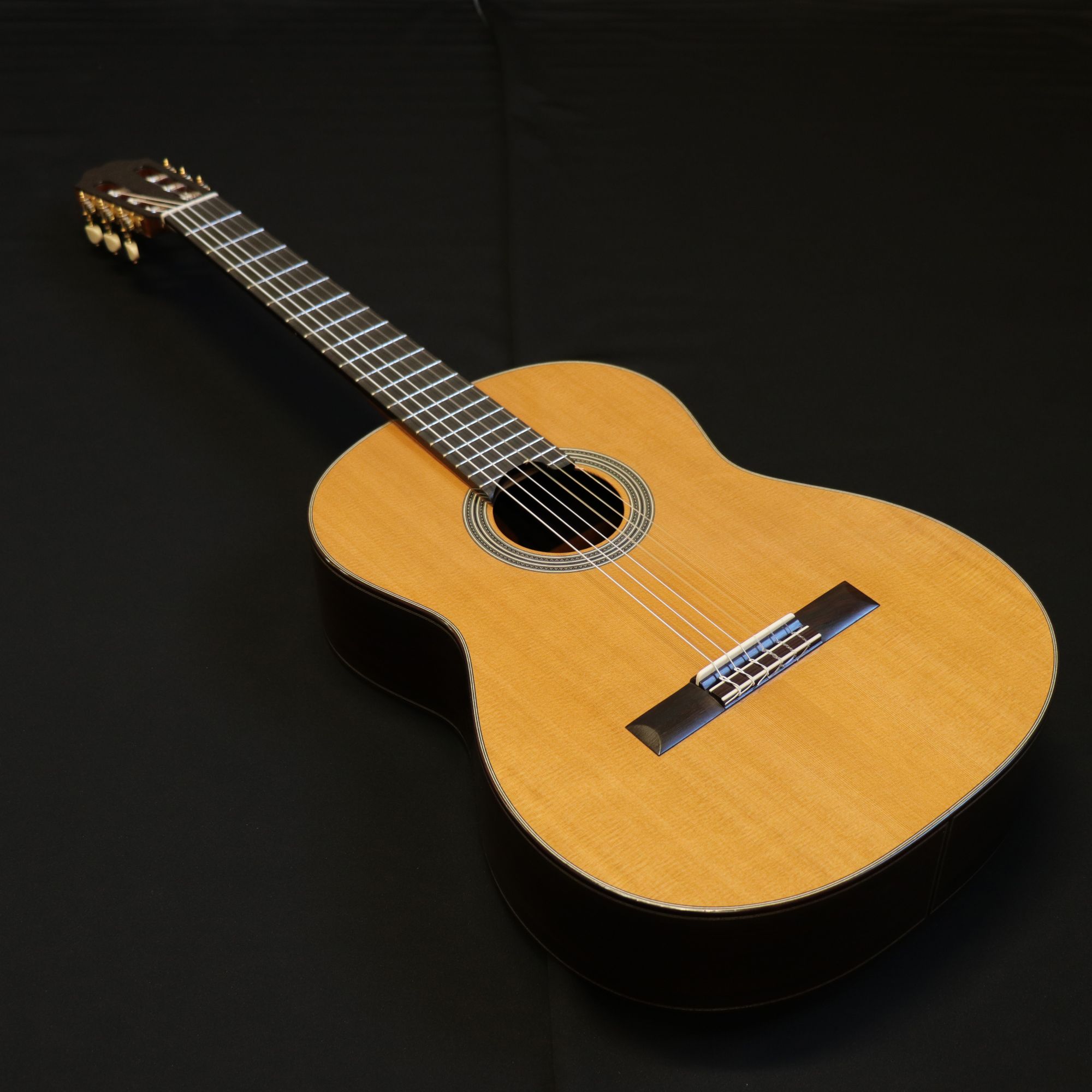 ASTURIAS - アストリアスギターの公式サイト