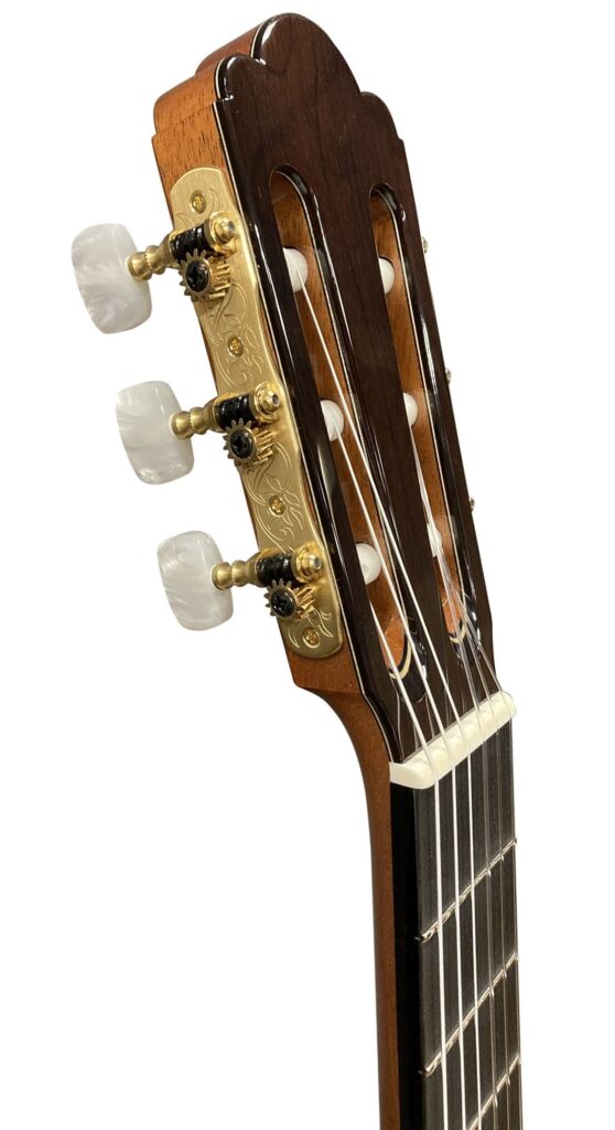 カスタム - ASTURIAS