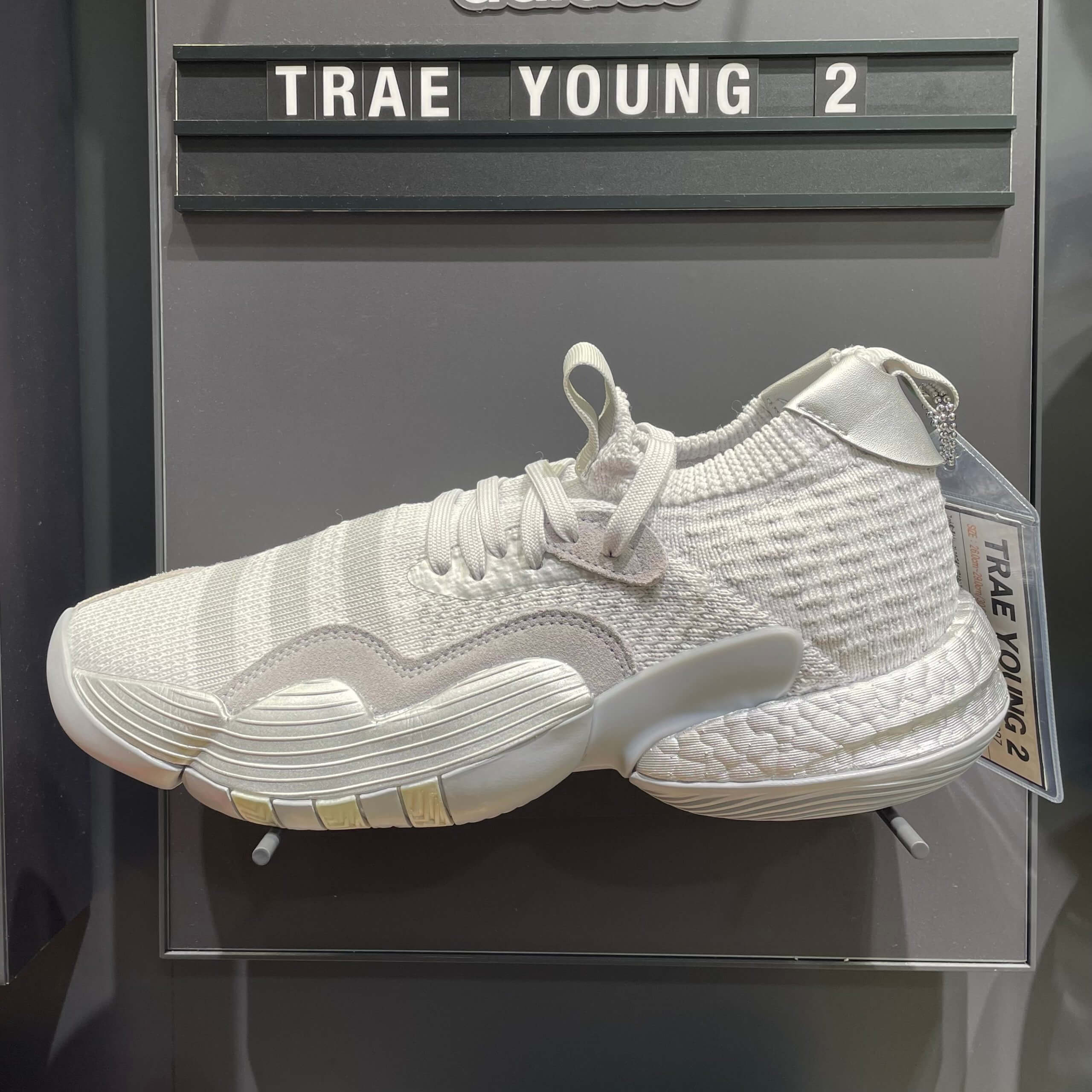 Adidas Trae Young 2 Try-on Review - ASTERKICKS
