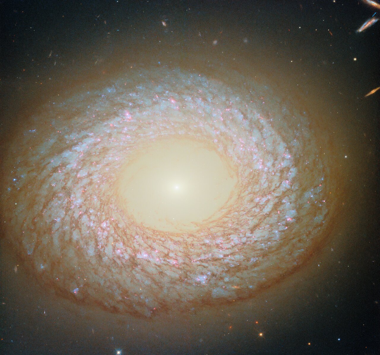 かに座の銀河NGC 2775 ハッブル宇宙望遠鏡が撮影 | アストロピクス