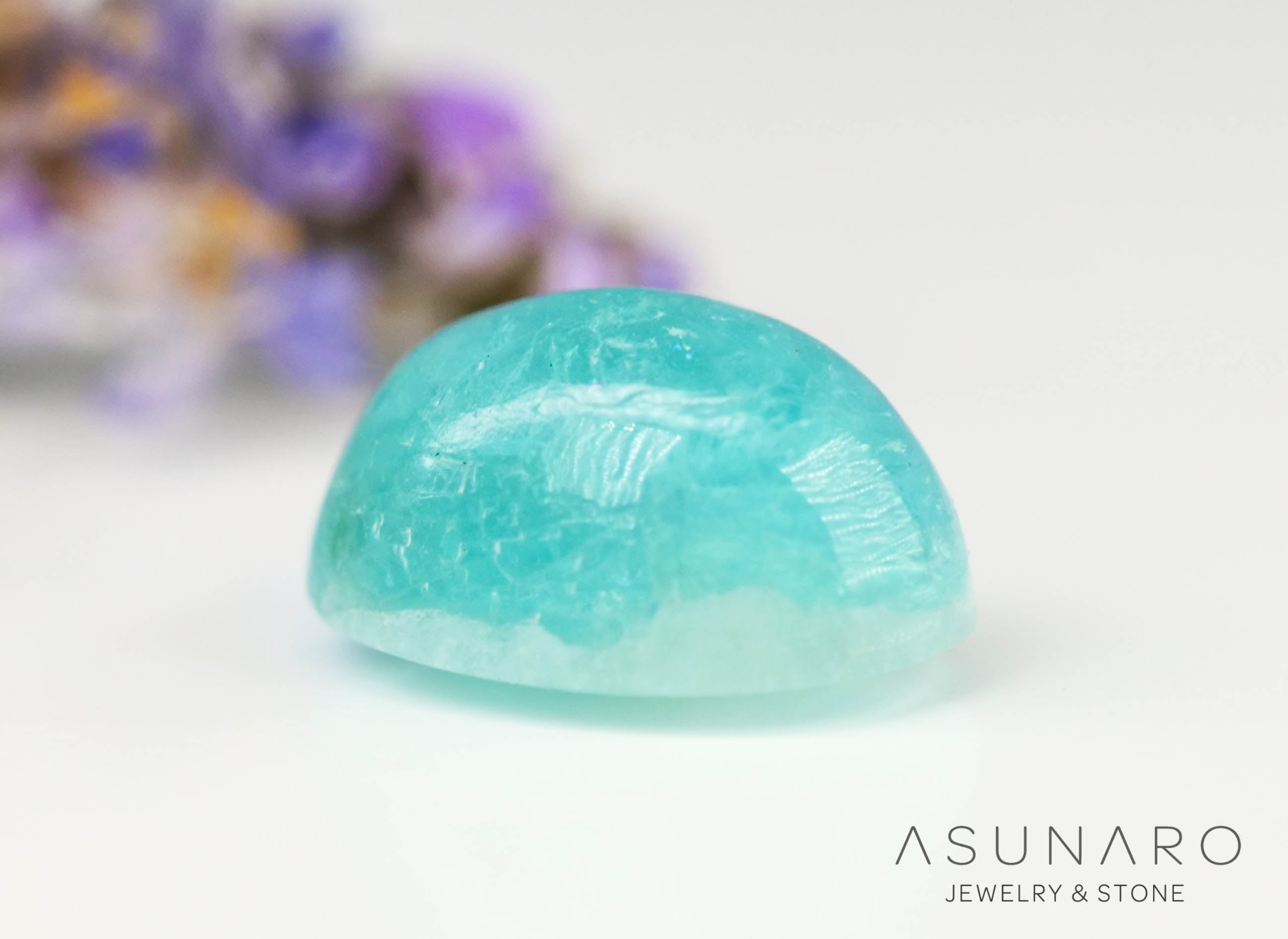 P1912008.jpg?v=1716441049&