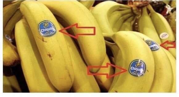 こっそりと表示されている危険サイン！！ | バナナ栽培の様子や事業の