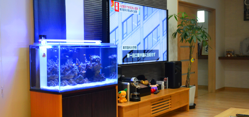 アクアリウム設置事例 － 小西様邸 | 株式会社AQUA LEGEND