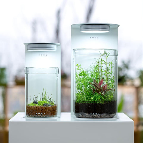 DOOA Magnet Light Stand MARU – Aqua Forest Aquarium