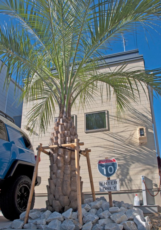 グリーン詳細（シンボルツリー） | アクアフィールド株式会社