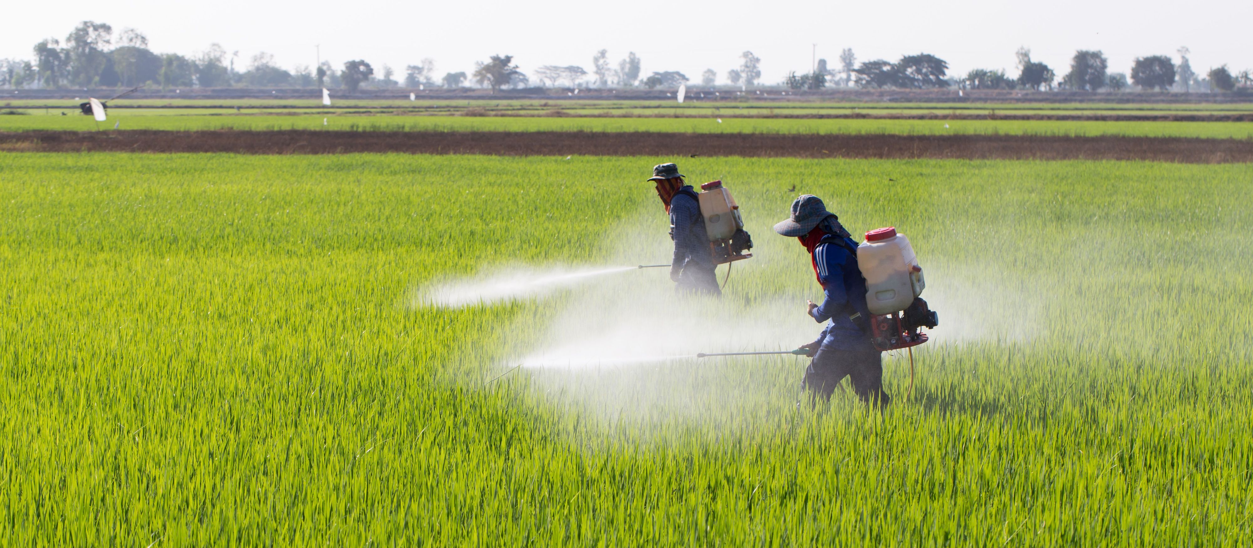 Arsenic: the global toxin | AQUAPHOR blog: Global website