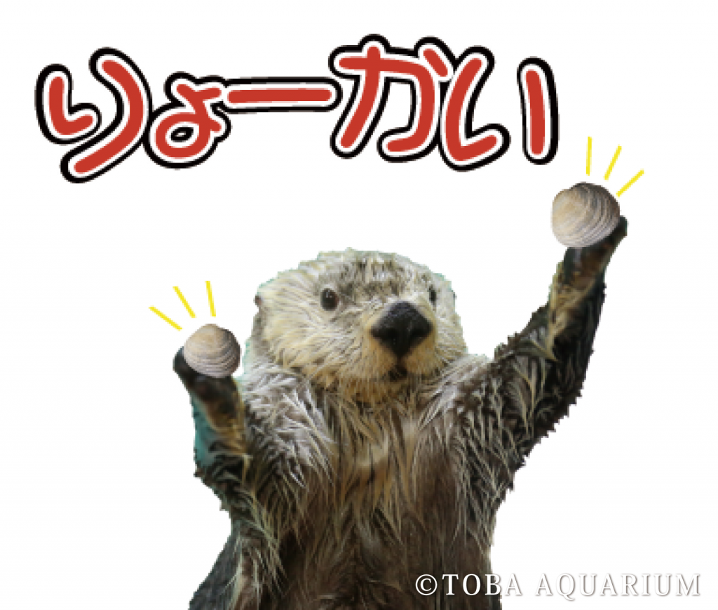 NEW!! ラッコのオリジナルグッズ発売情報 | 鳥羽水族館 公式サイト