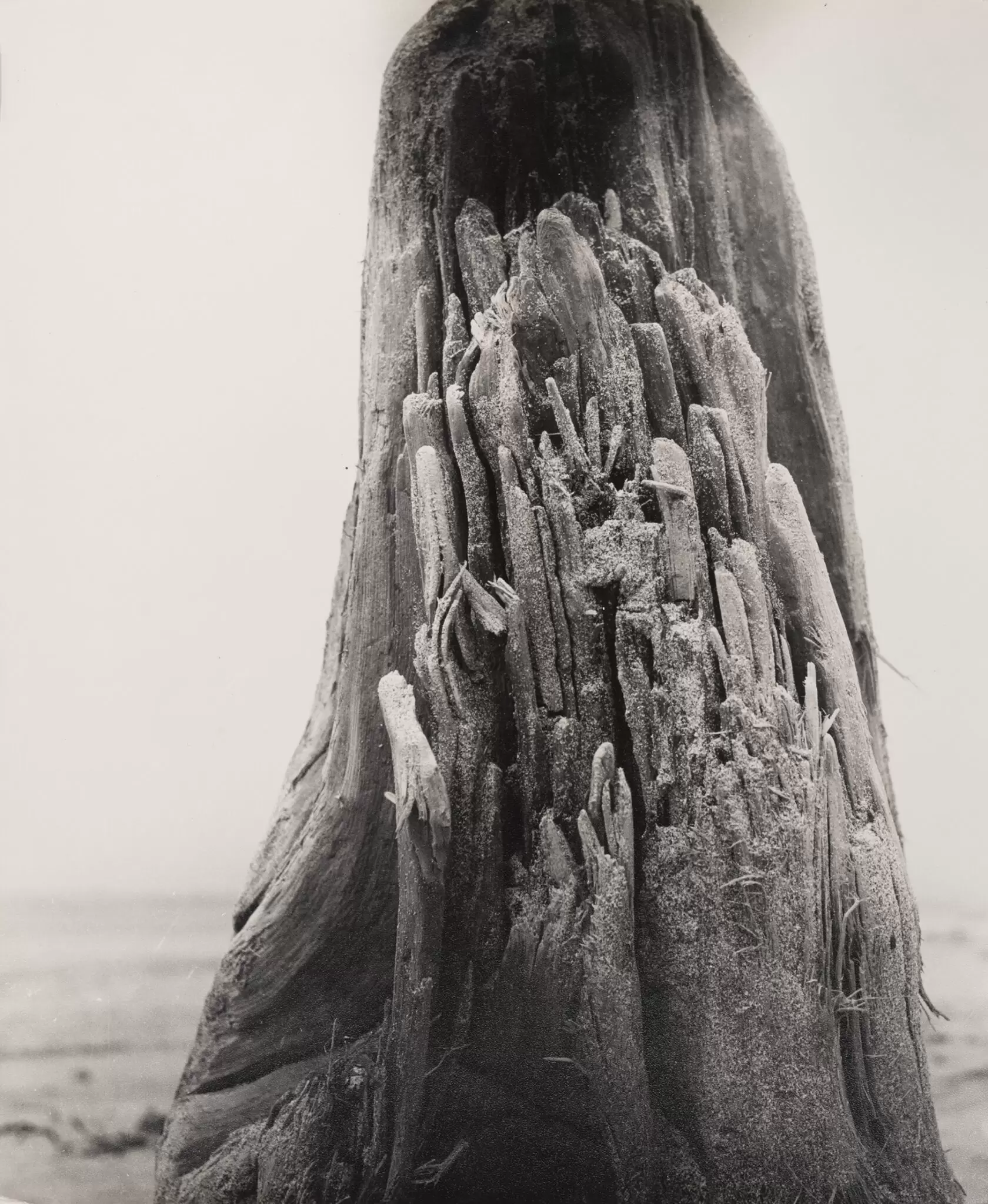 名古屋：前衛写真の系譜 1930〜50年代｜坂田稔、後藤敬一郎、高田皆義