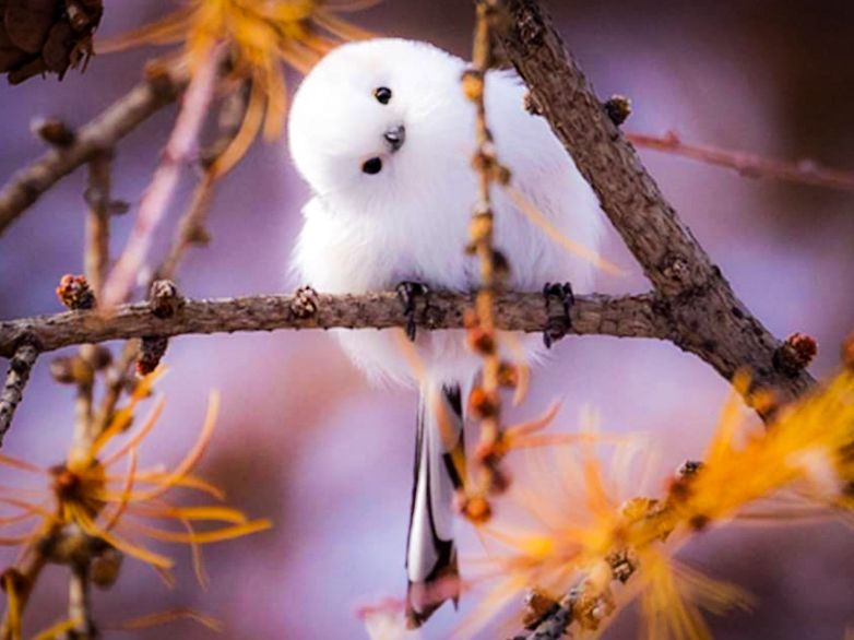 20211224_maruneko280_43289b91f