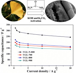 Nitrogen-doped porous carbon derived from ginkgo leaves with