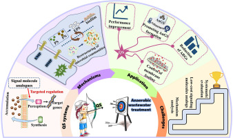 Unveiling switch coordinating wastewater anaerobic biological
